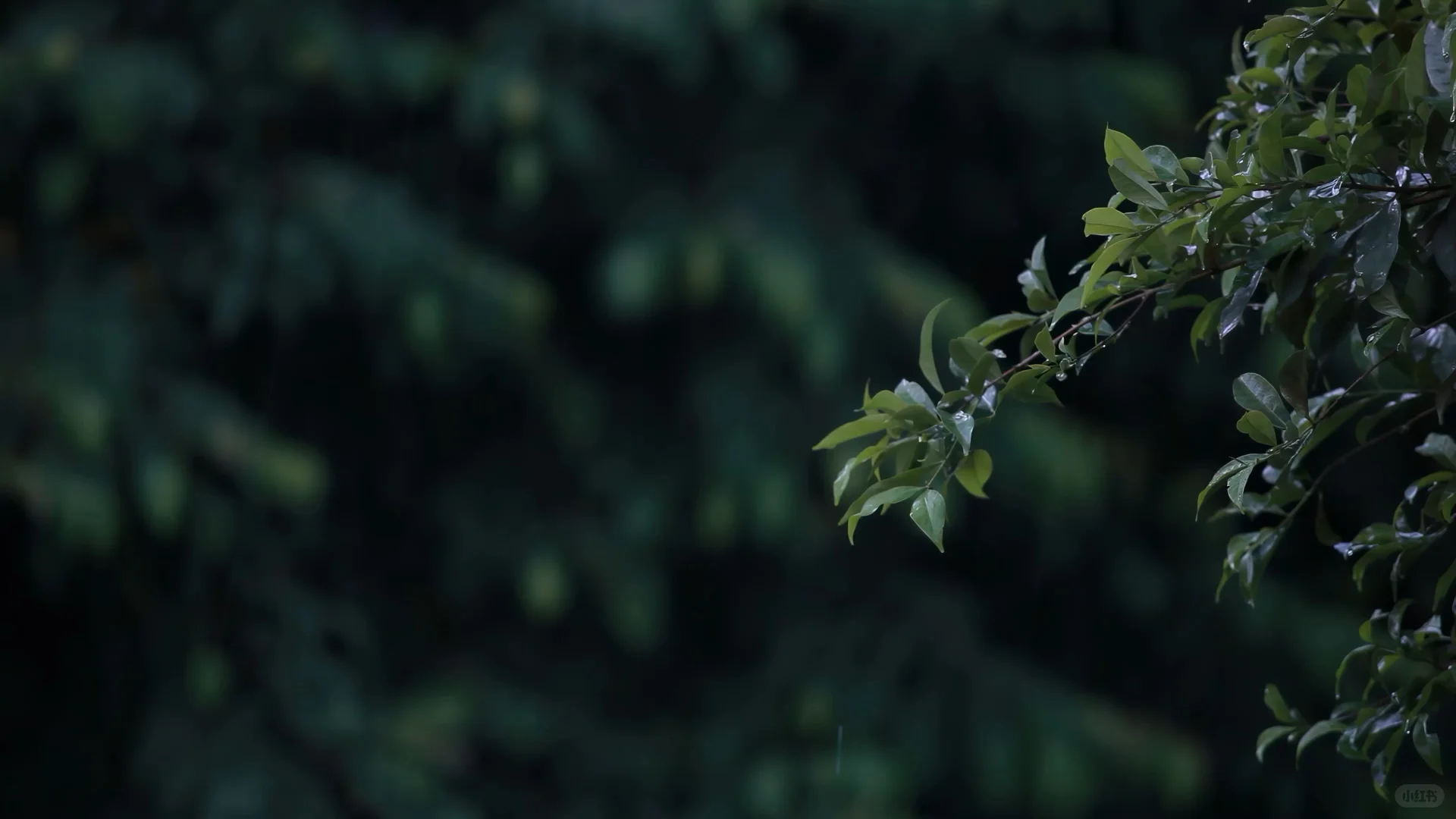 🌟002｜动态氛围感壁纸合集