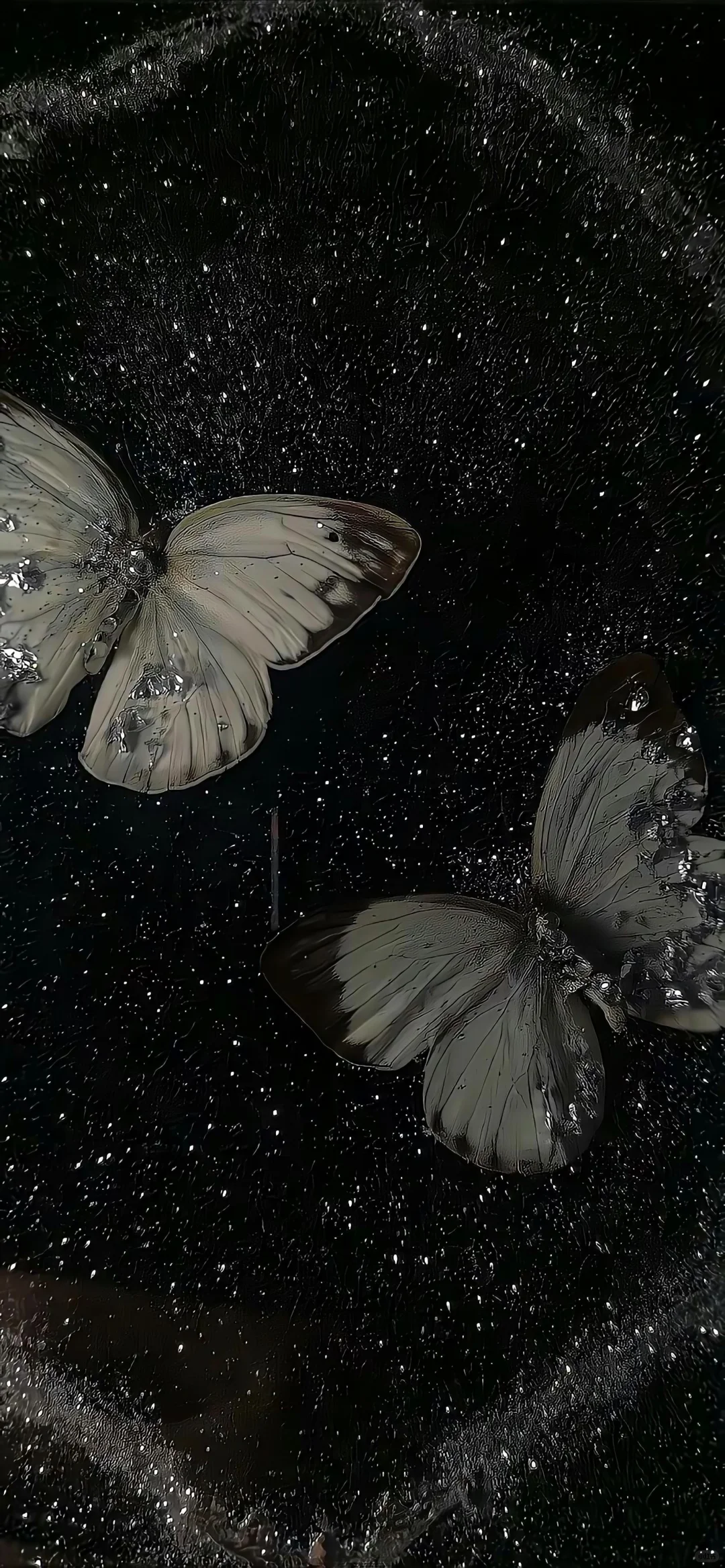 𝔰𝔥𝔞𝔯𝔢 | 小众壁纸｜一定要看完#