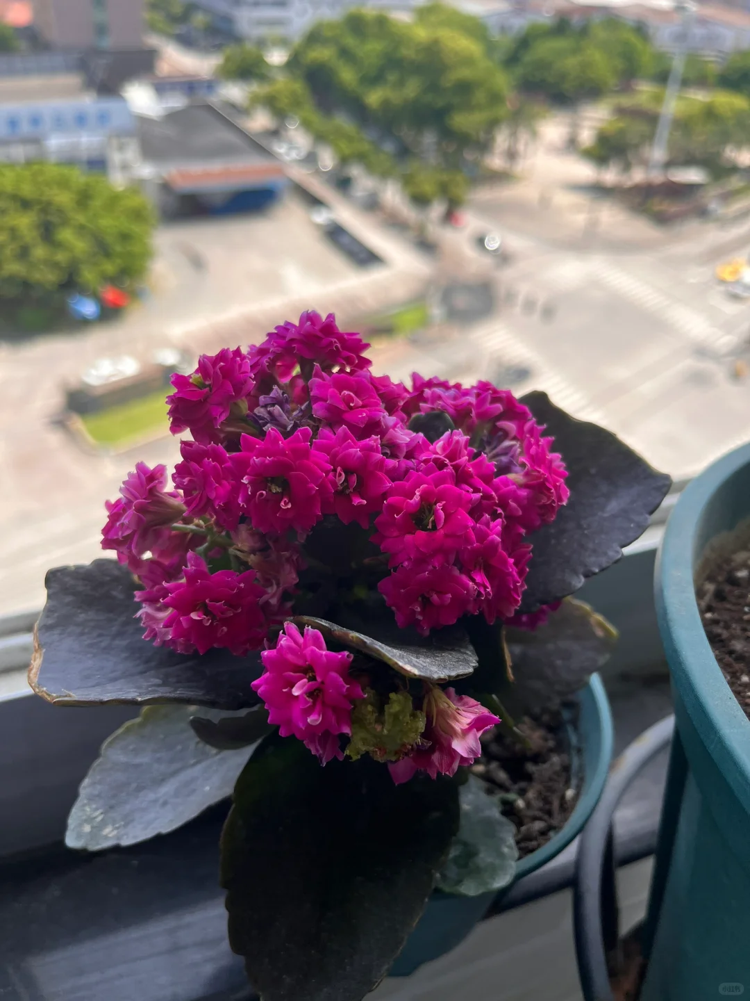 生机勃勃的春天