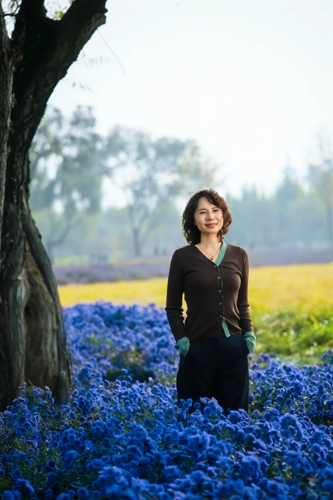 一亩园和旁边的颐和园