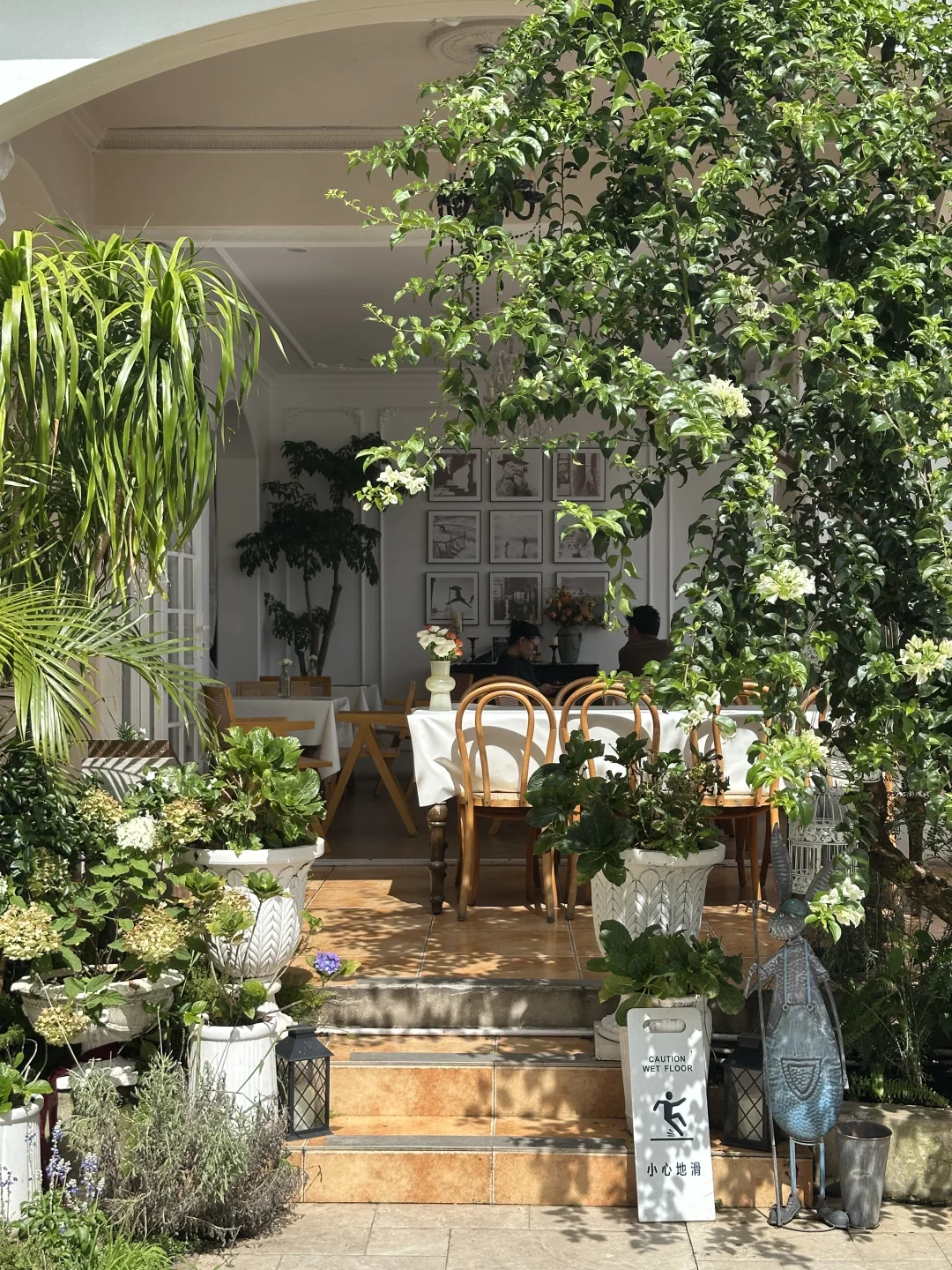 🌊大理｜在这里邂逅洱海的浪漫💖