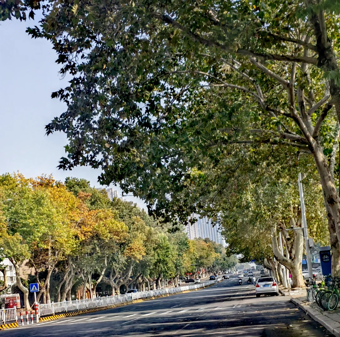 我再一次与秋日作别