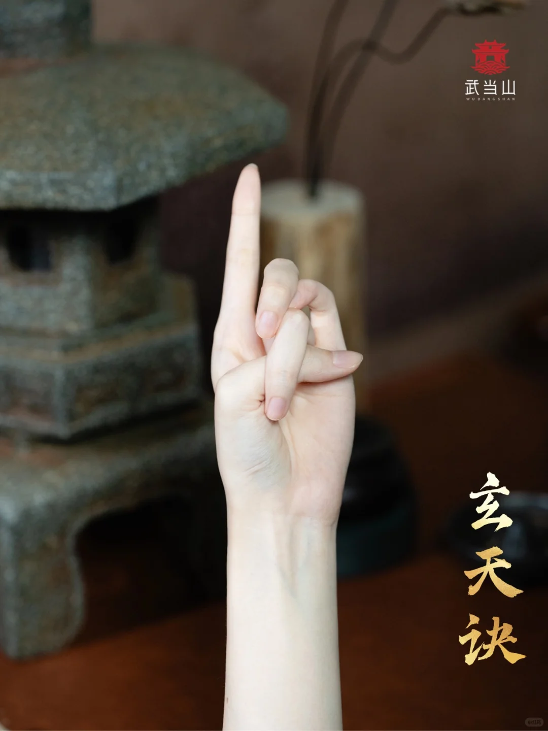 常见指诀你能做到几个？