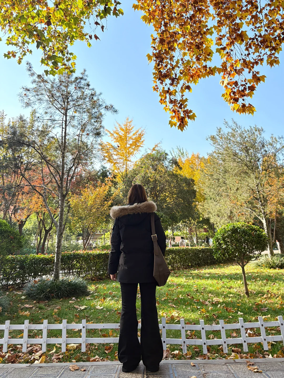 163 130｜大胸微胖🫧果然基础款才是最显瘦的