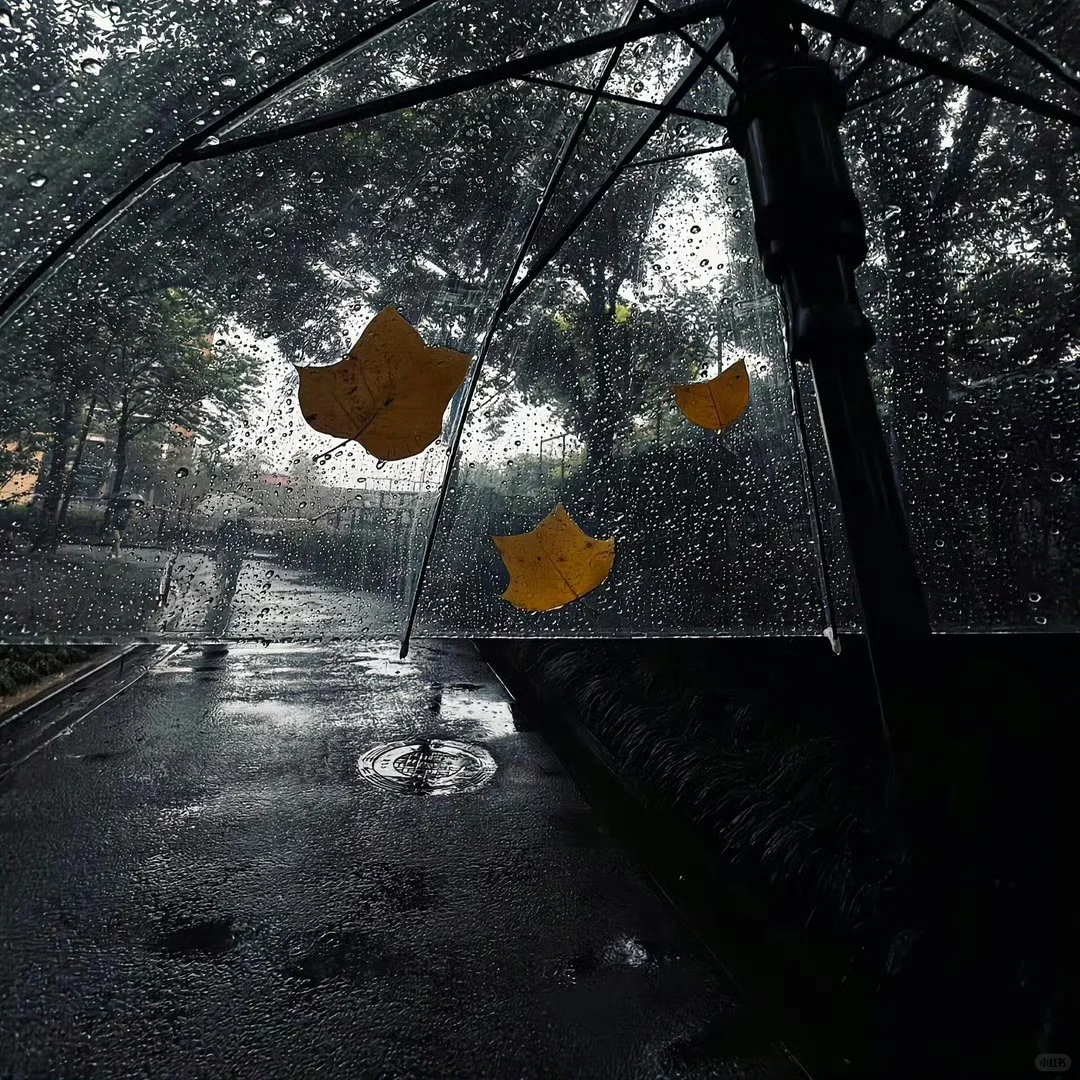 黑色系高级感背景图