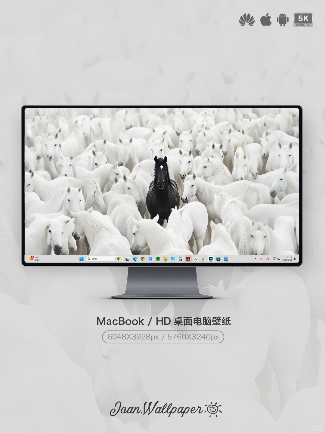 Joan壁纸 | 白马群中，黑马独行