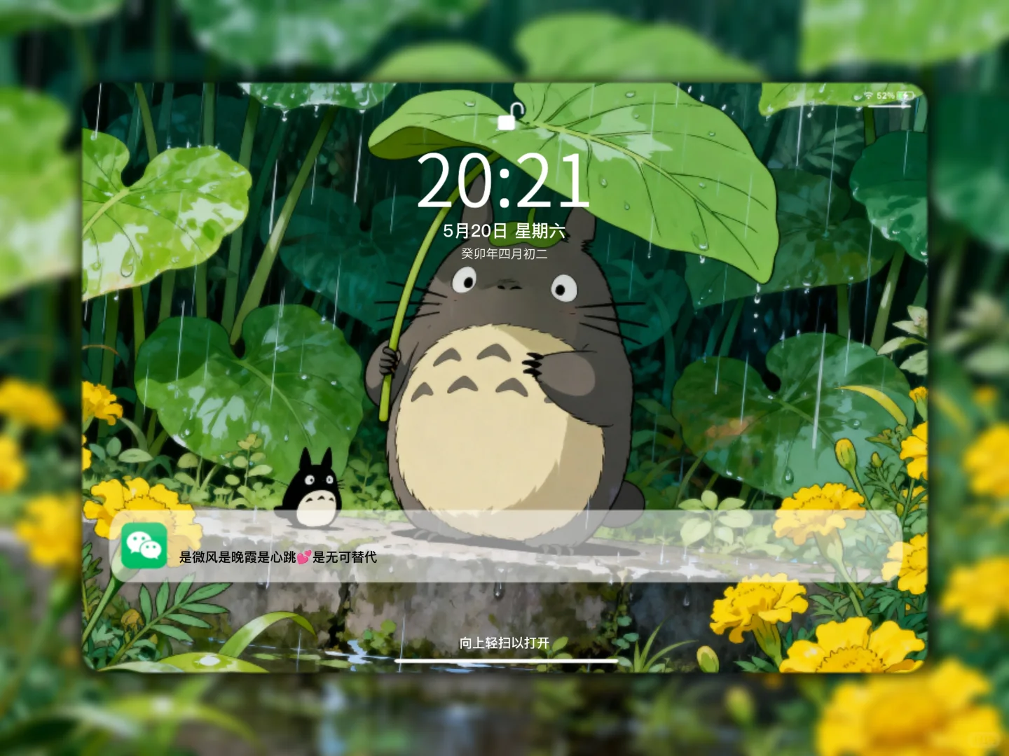 C65｜龙猫平板壁纸