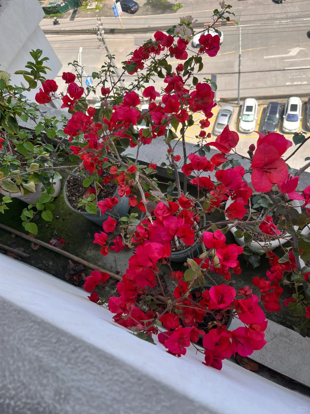 生机勃勃的春天