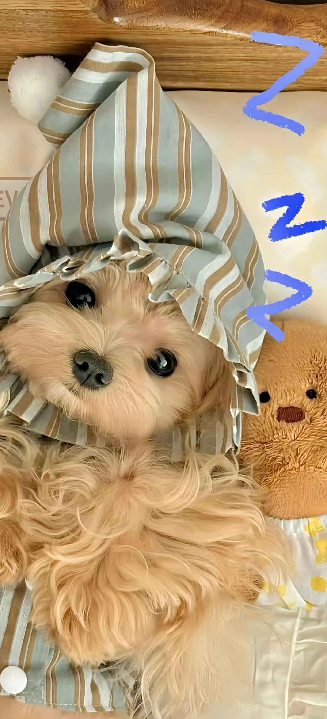 会有你喜欢的壁纸