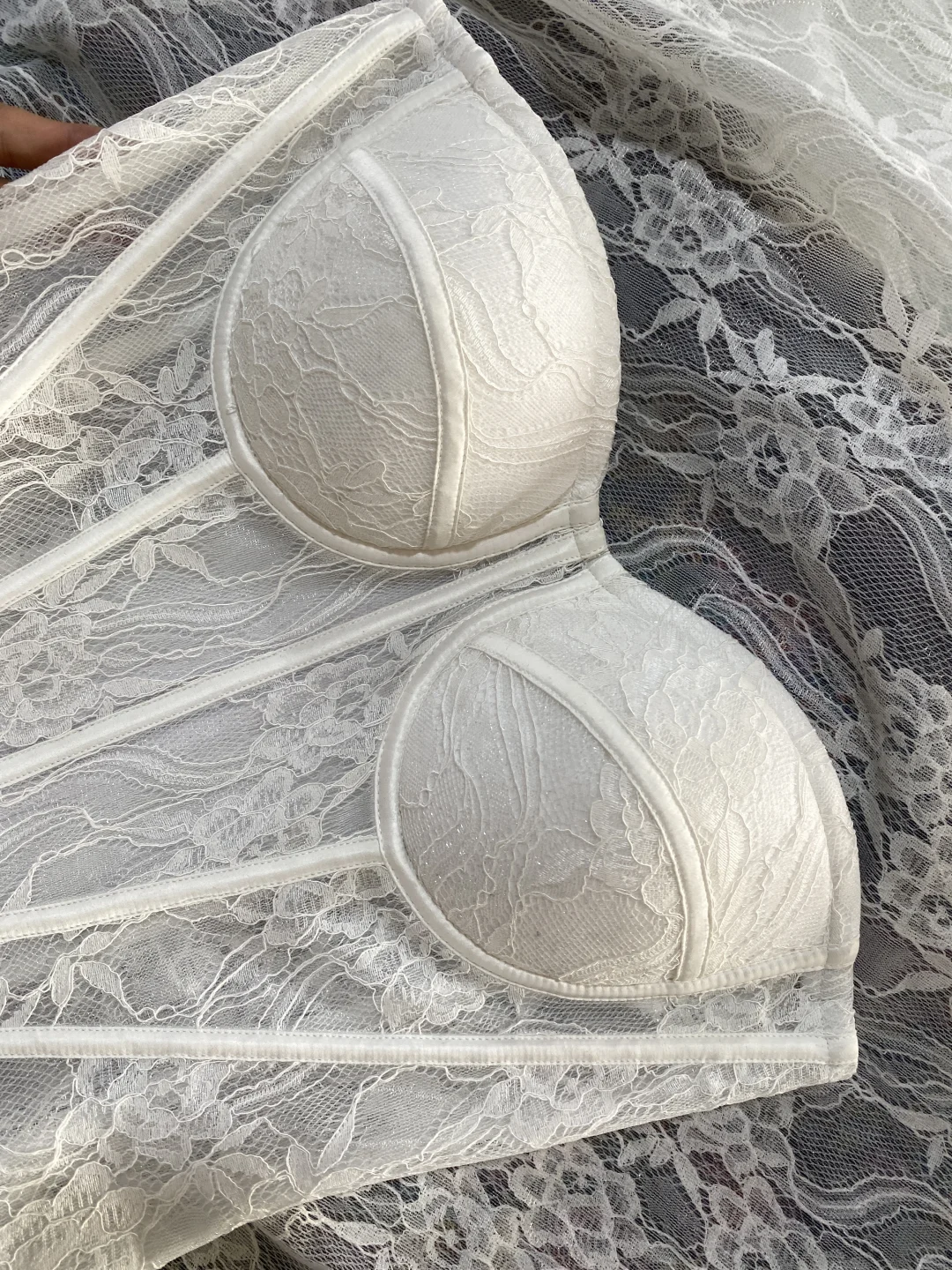 这期新款直接封神❗️蕾丝胸衣美到心颤啊