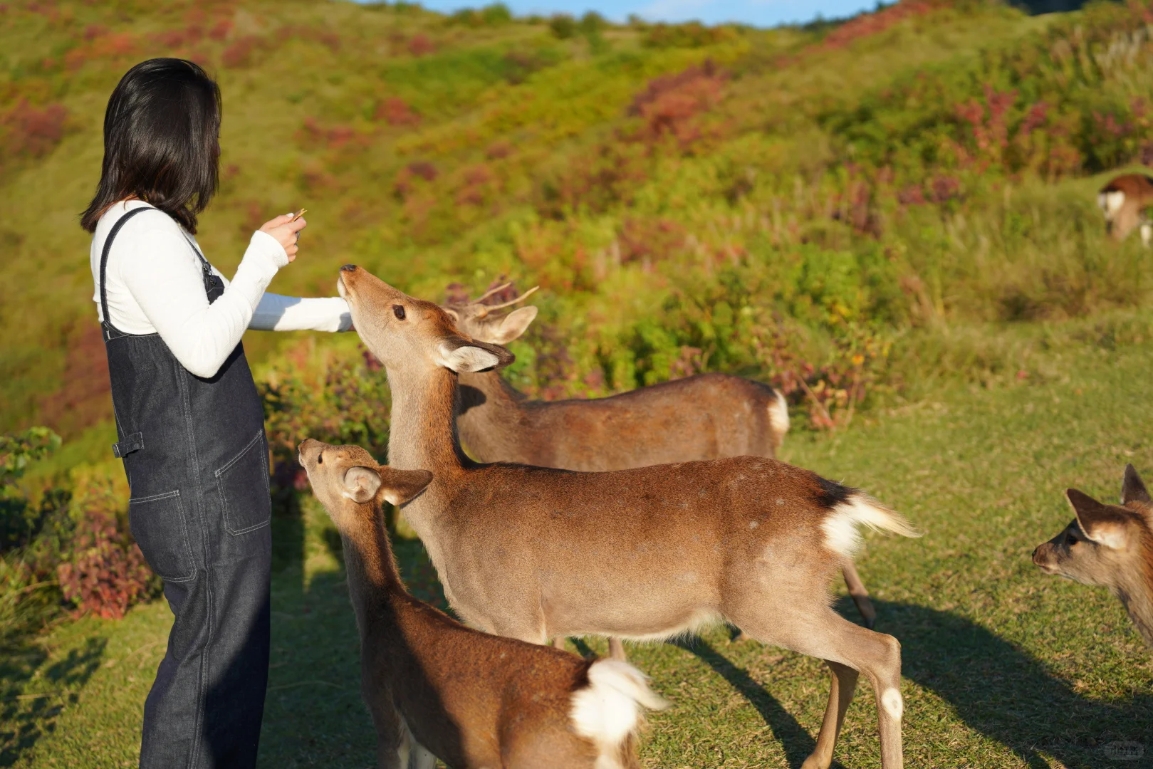 瘦不下来的“普女”，可能得了情绪饥饿症