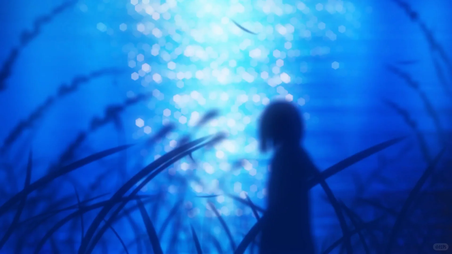 动态壁纸分享第101期