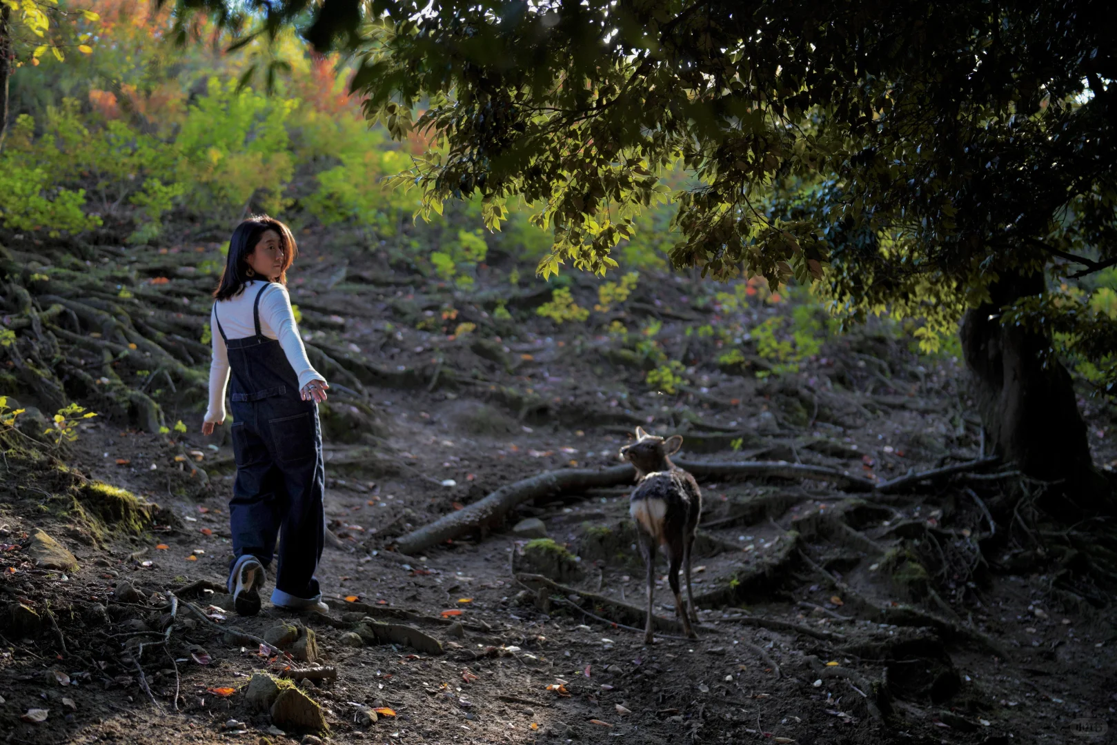 瘦不下来的“普女”，可能得了情绪饥饿症