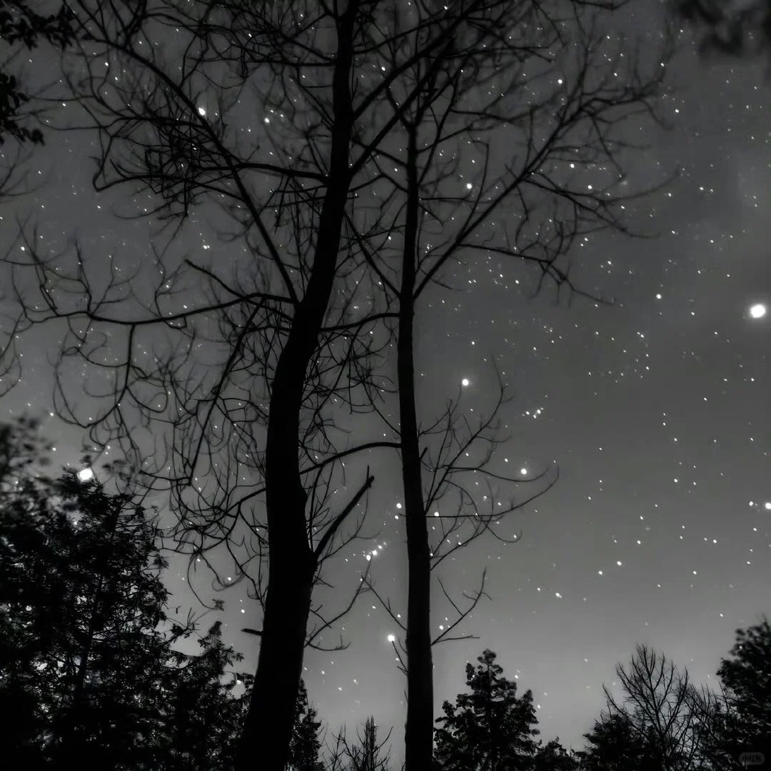 黑色系高级感背景图