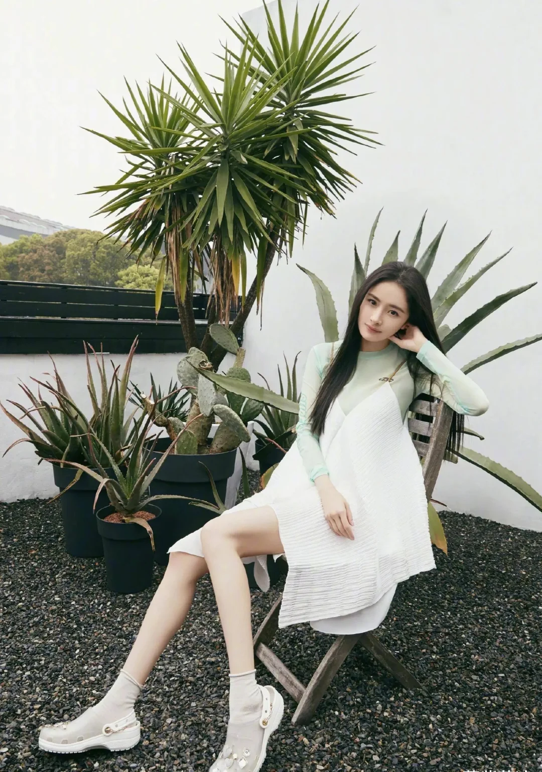 杨幂，大家是从哪里认识的？