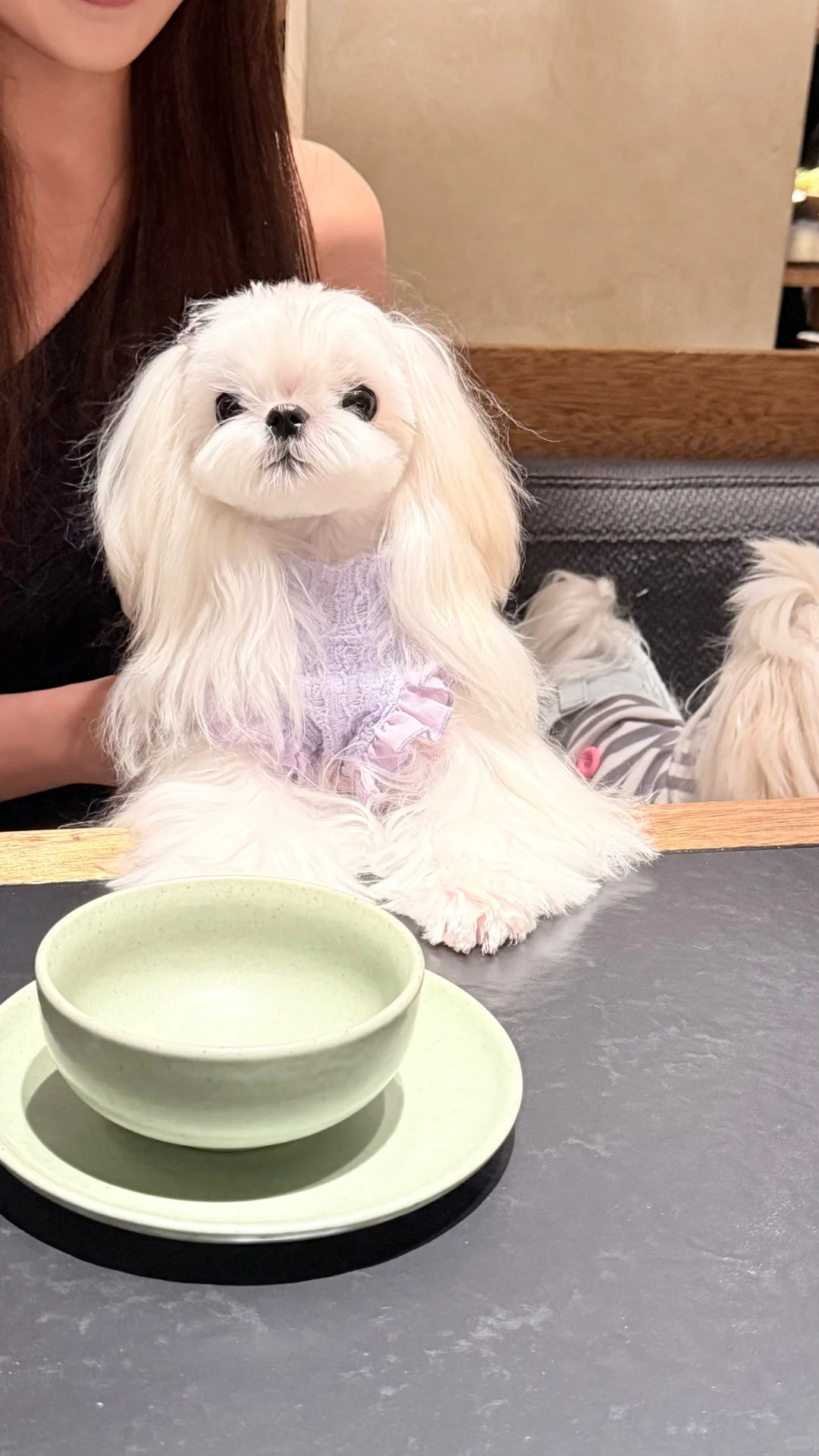 💜今天也是女装大佬