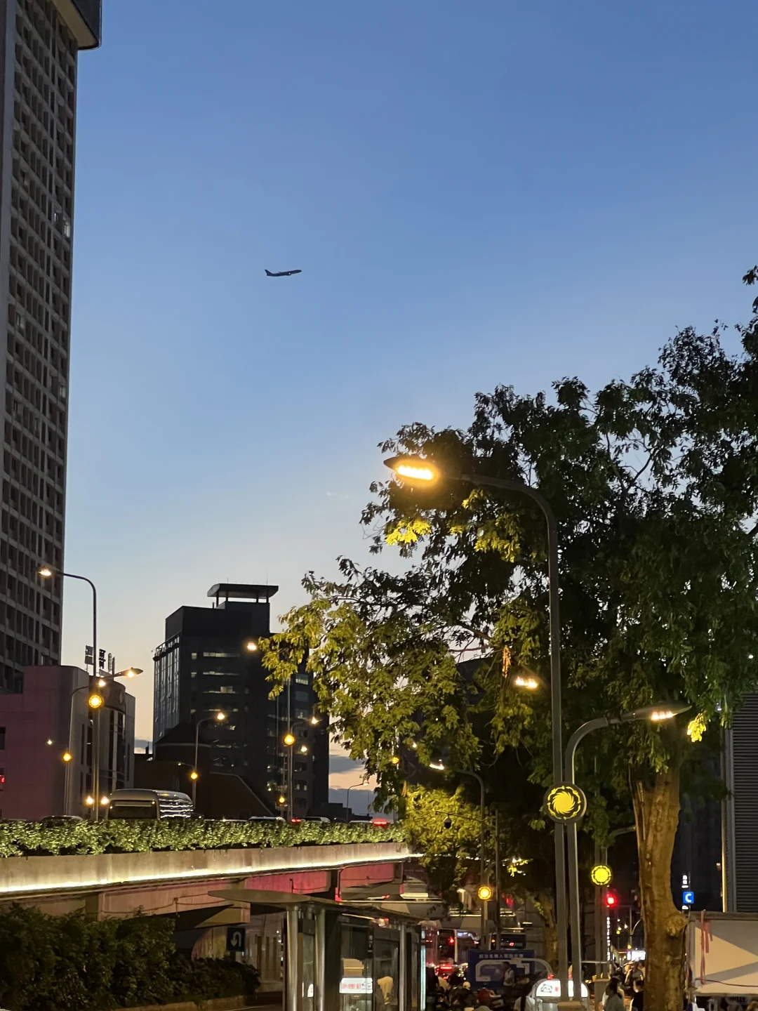 DAY5｜在校女大刷脂一天吃什么练什么