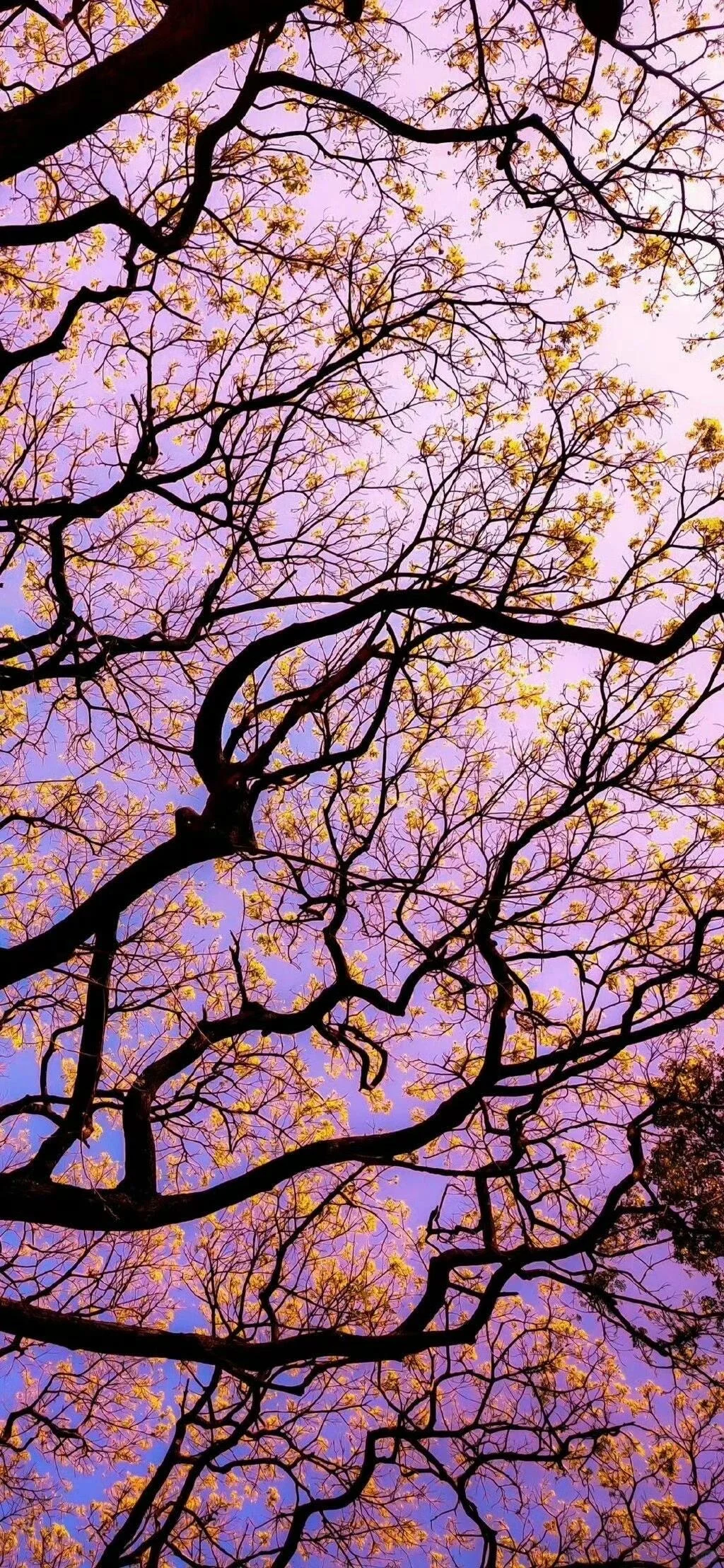 极致简约高清壁纸