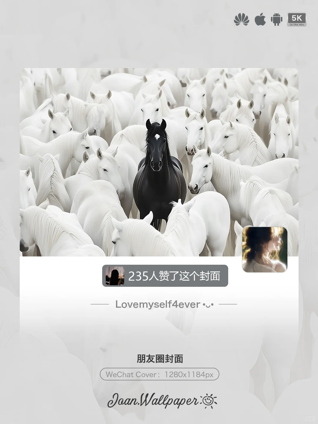Joan壁纸 | 白马群中，黑马独行