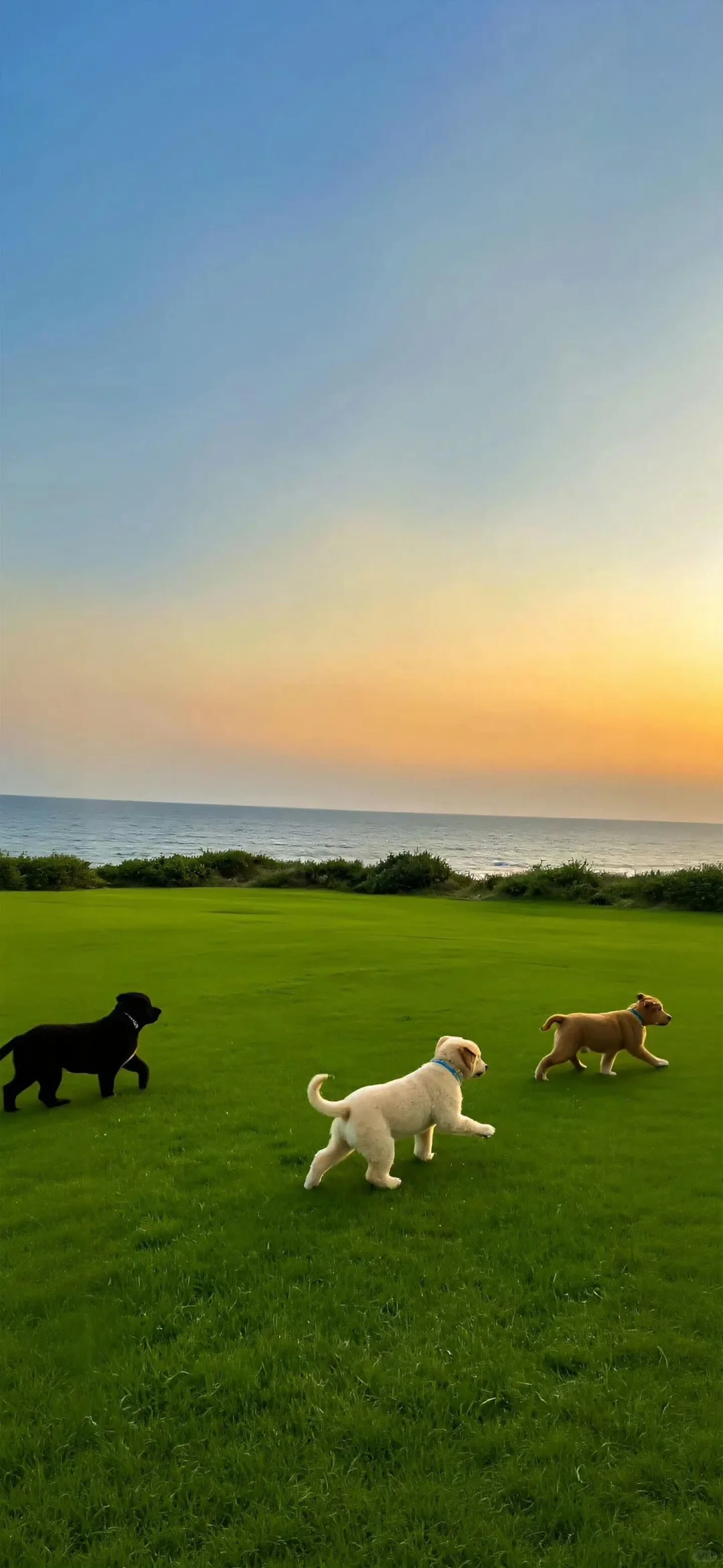 极致简约高清壁纸