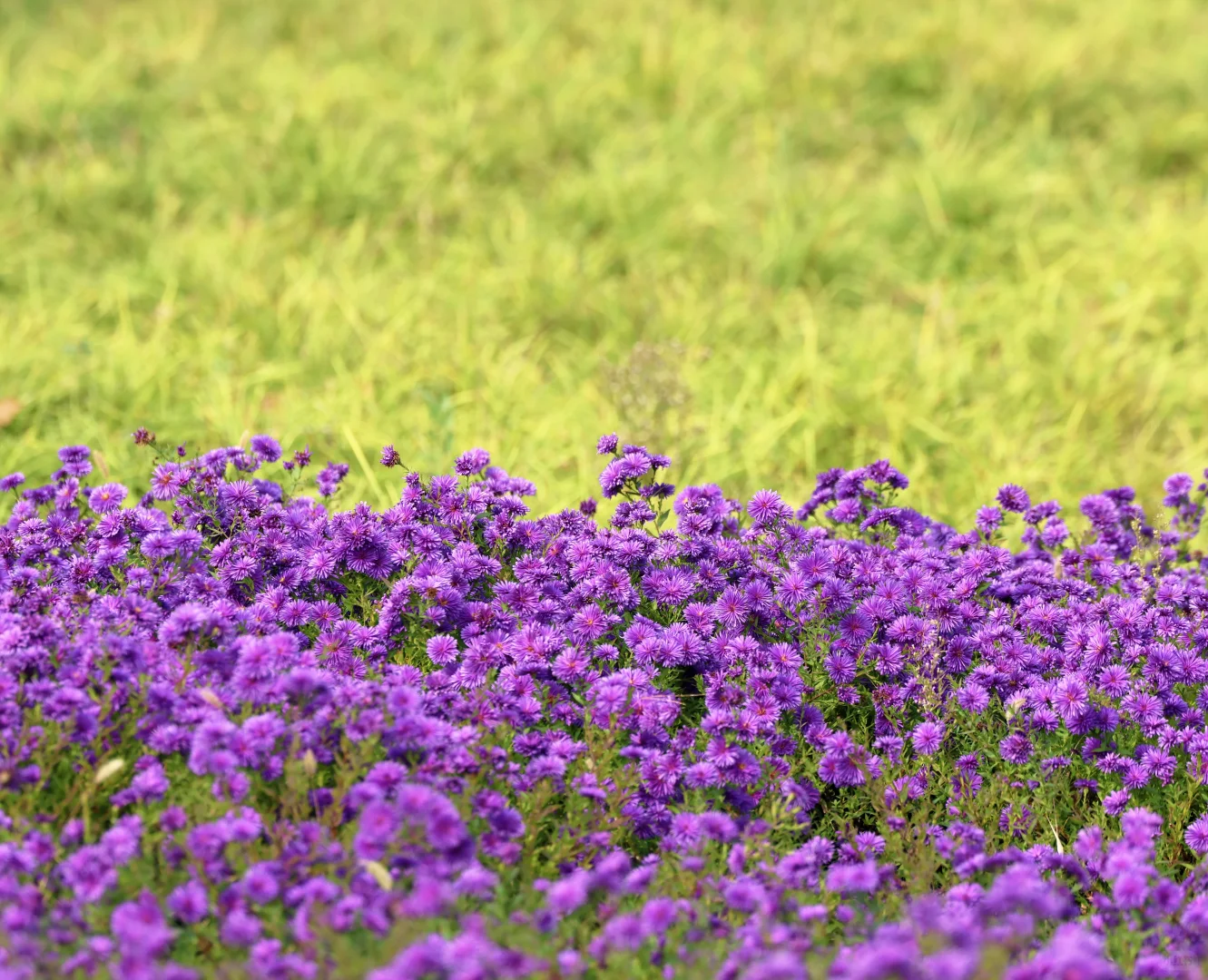 一亩园和旁边的颐和园