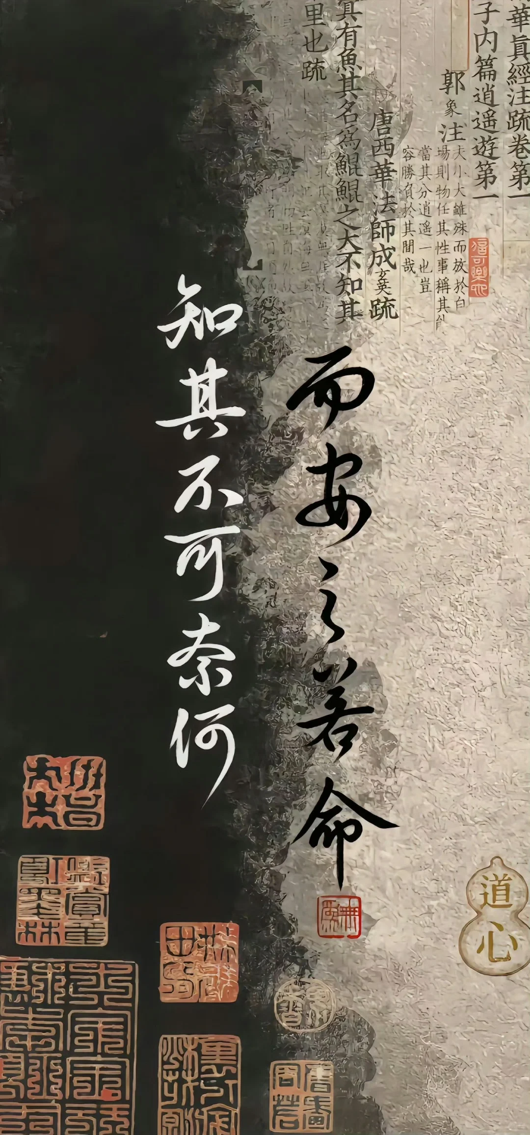 𝑺𝒉𝒂𝒓𝒆 | 高质量全屏手机壁纸