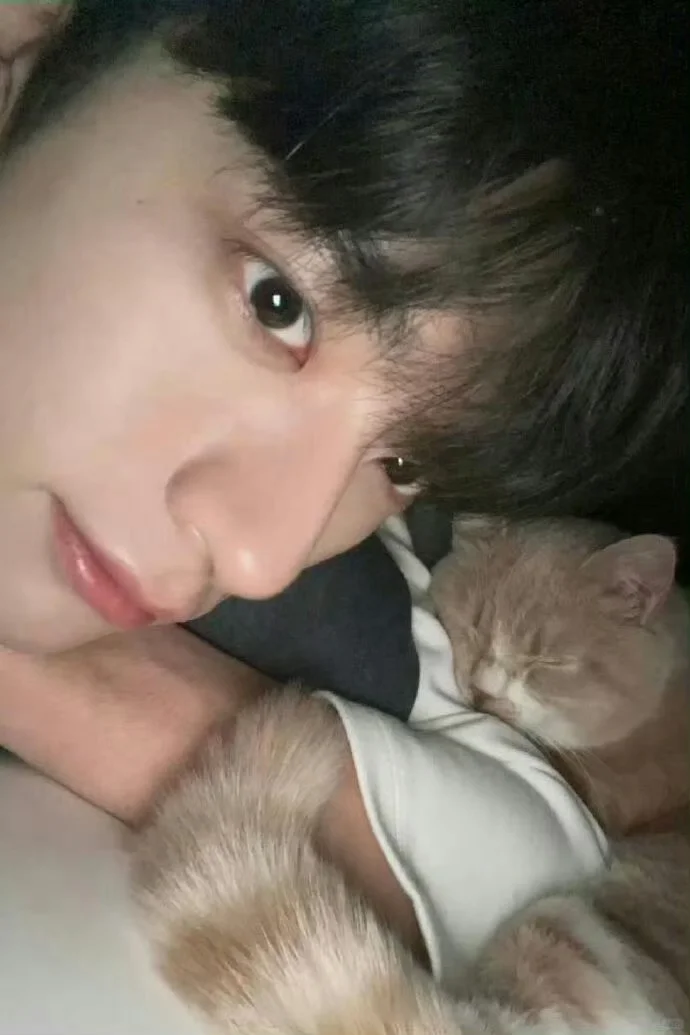 林一锁屏壁纸｜明星壁纸｜帅哥壁纸｜全屏壁纸