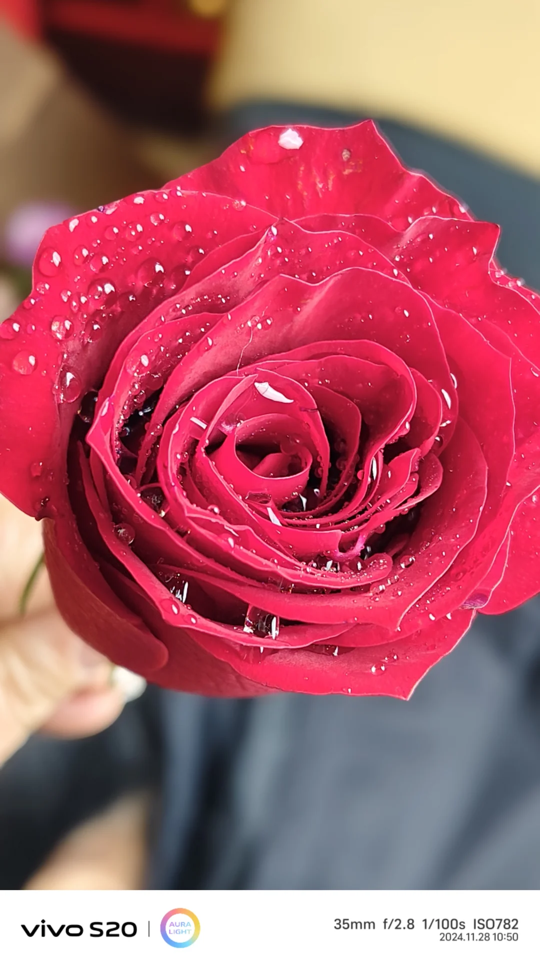 **💐鲜花与佳人,美丽共绽放🌹**