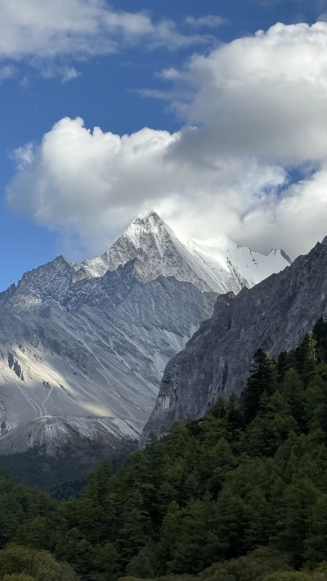 心中的那片海🌊