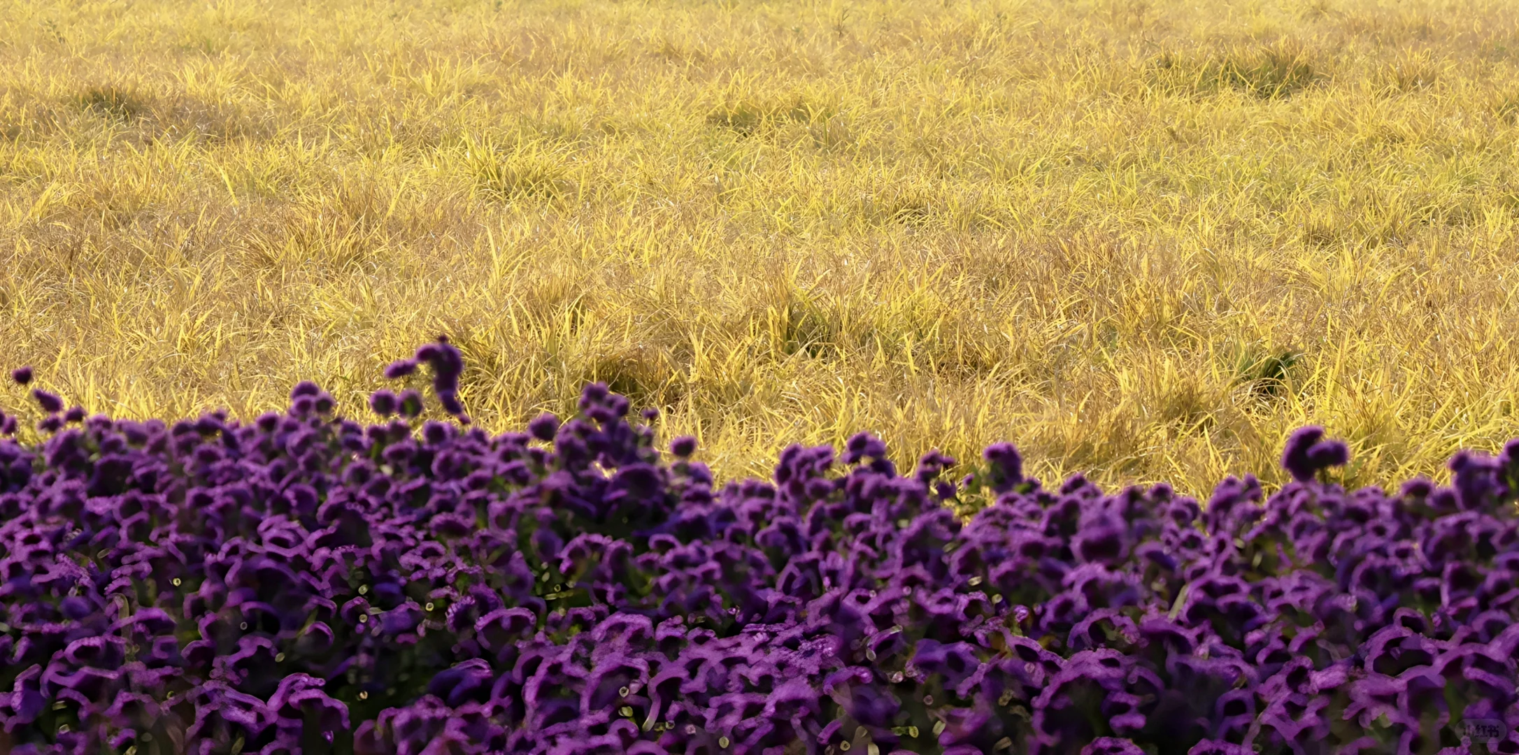 一亩园和旁边的颐和园