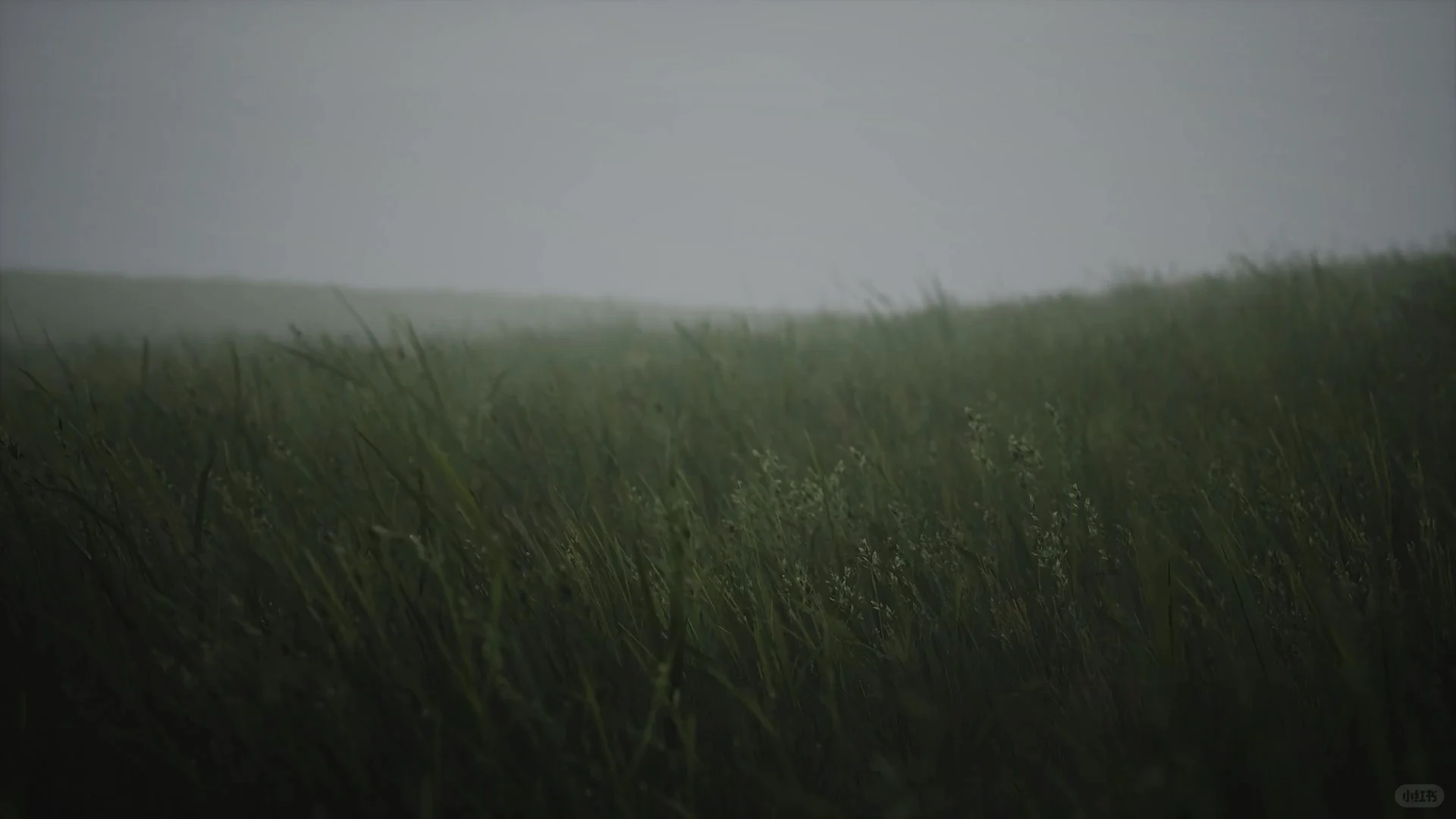 🌟002｜动态氛围感壁纸合集