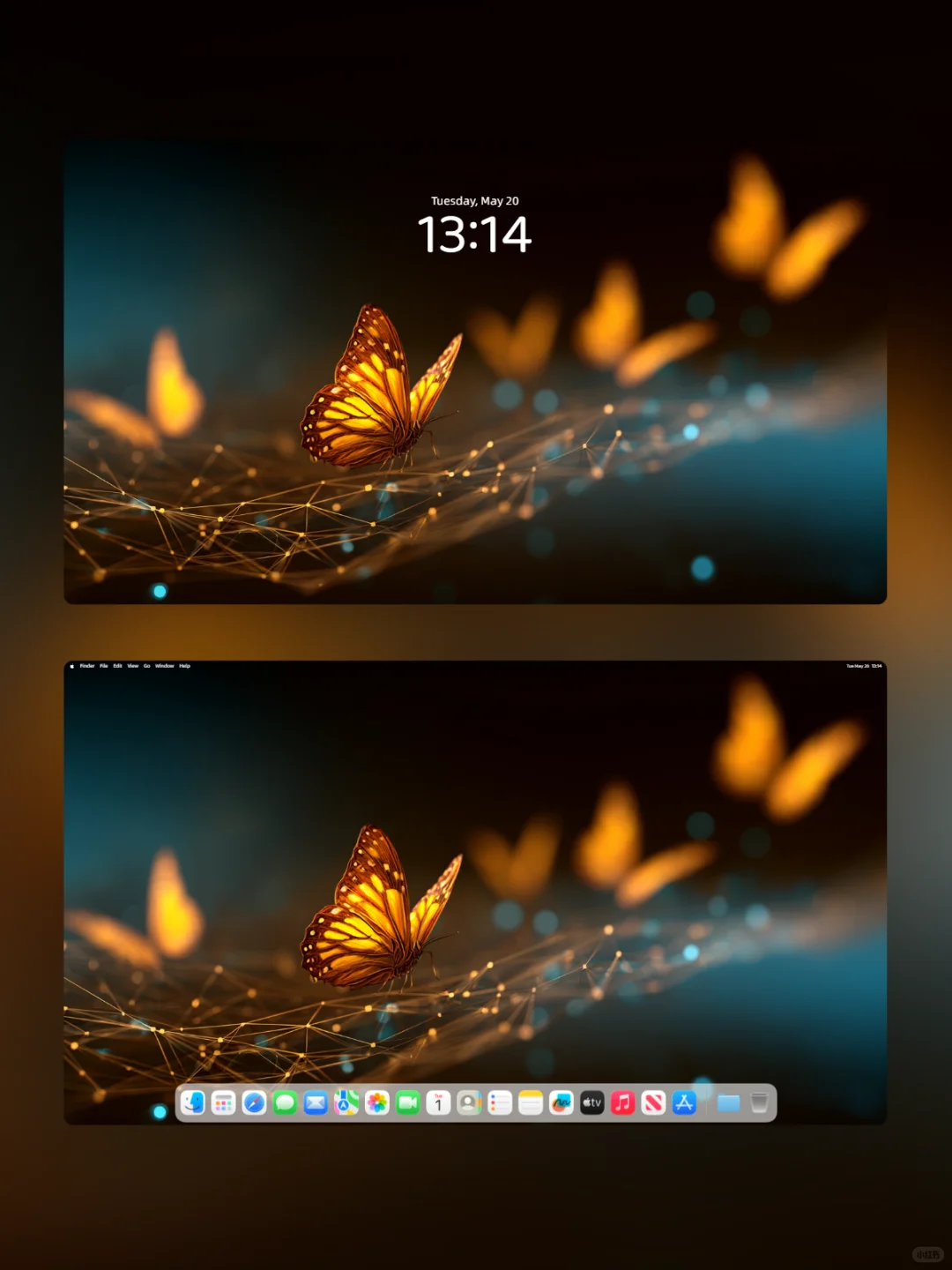 治愈系列壁纸 I 破茧成蝶 I 403