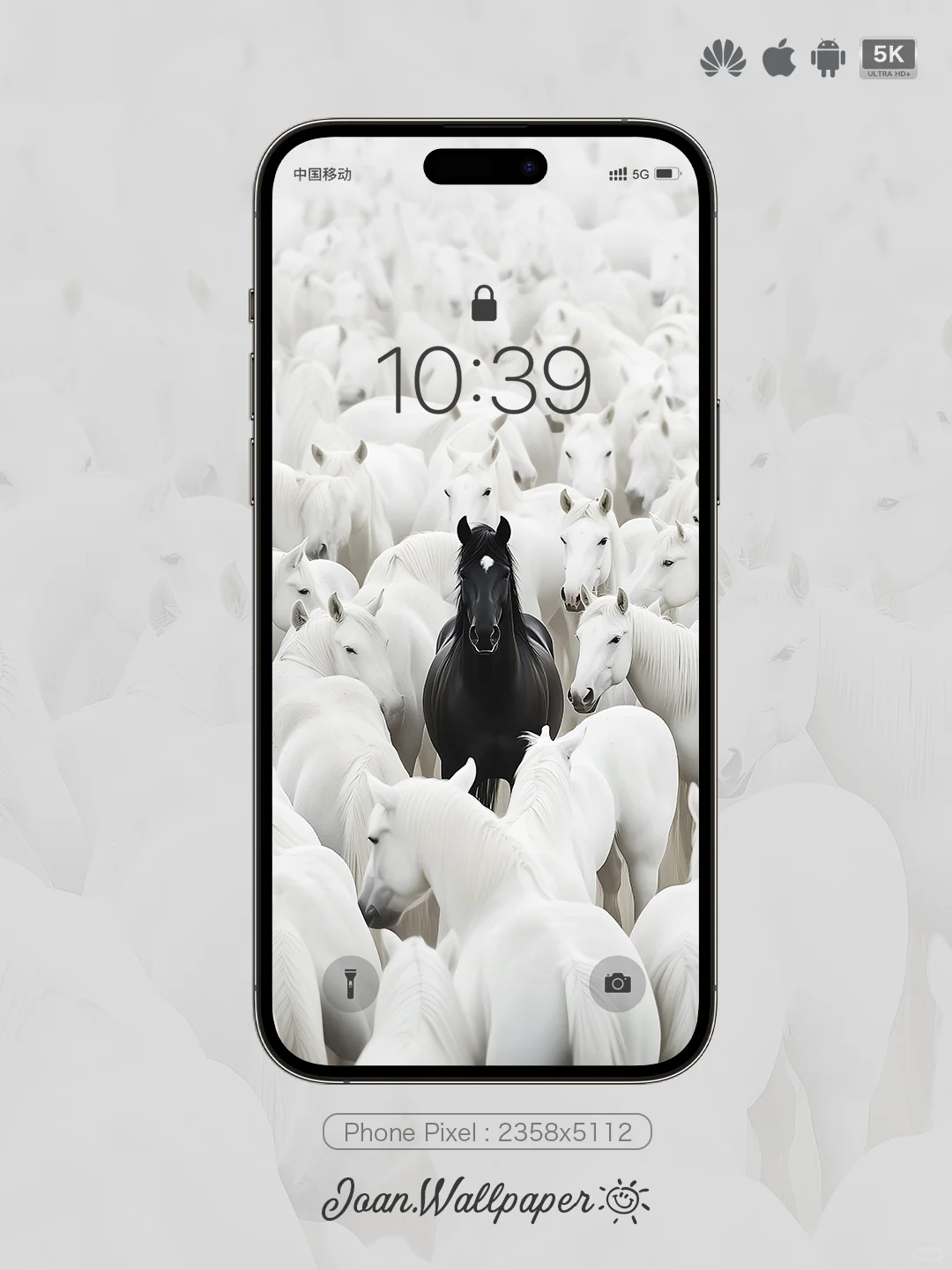Joan壁纸 | 白马群中，黑马独行