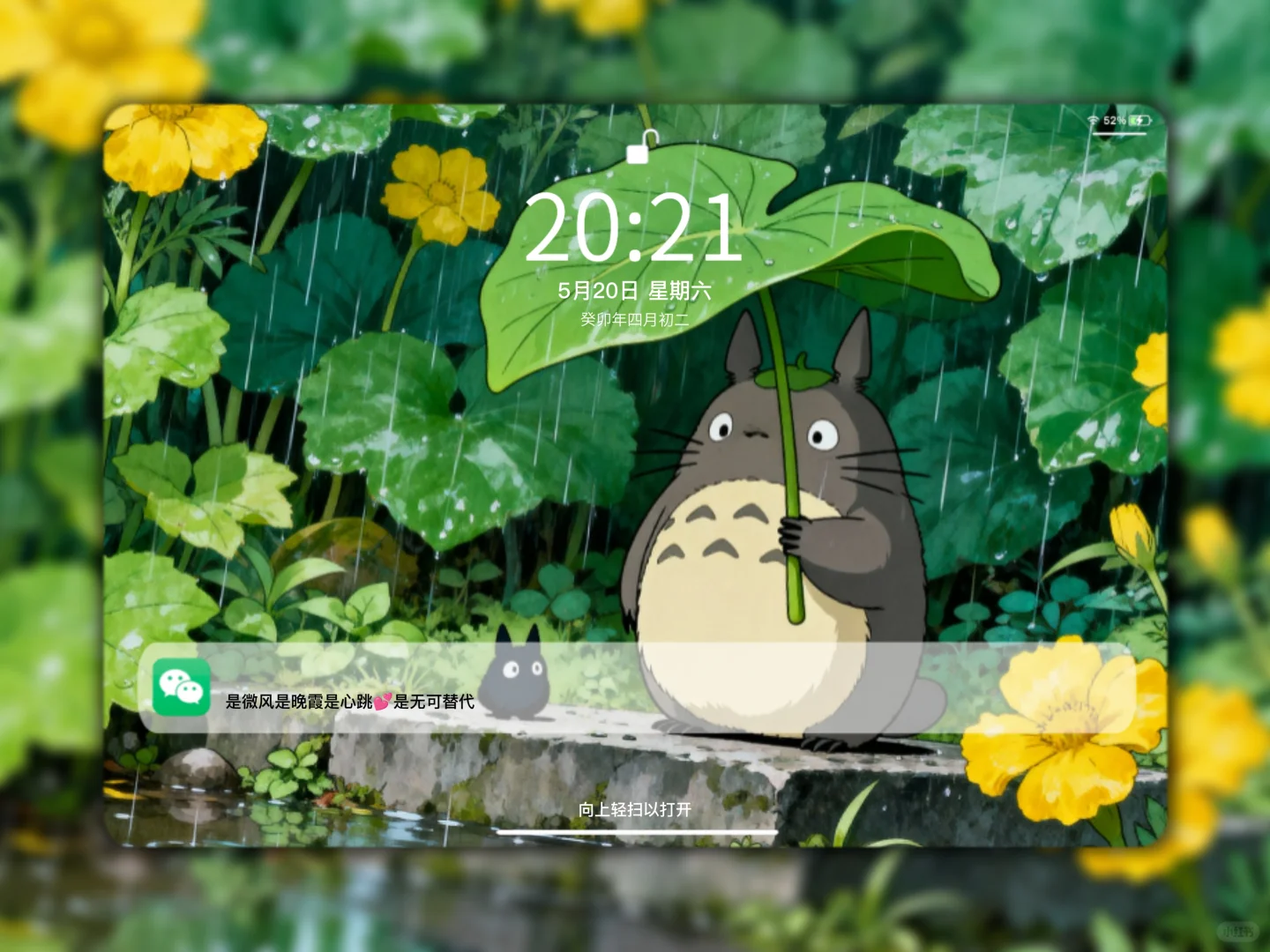 C65｜龙猫平板壁纸