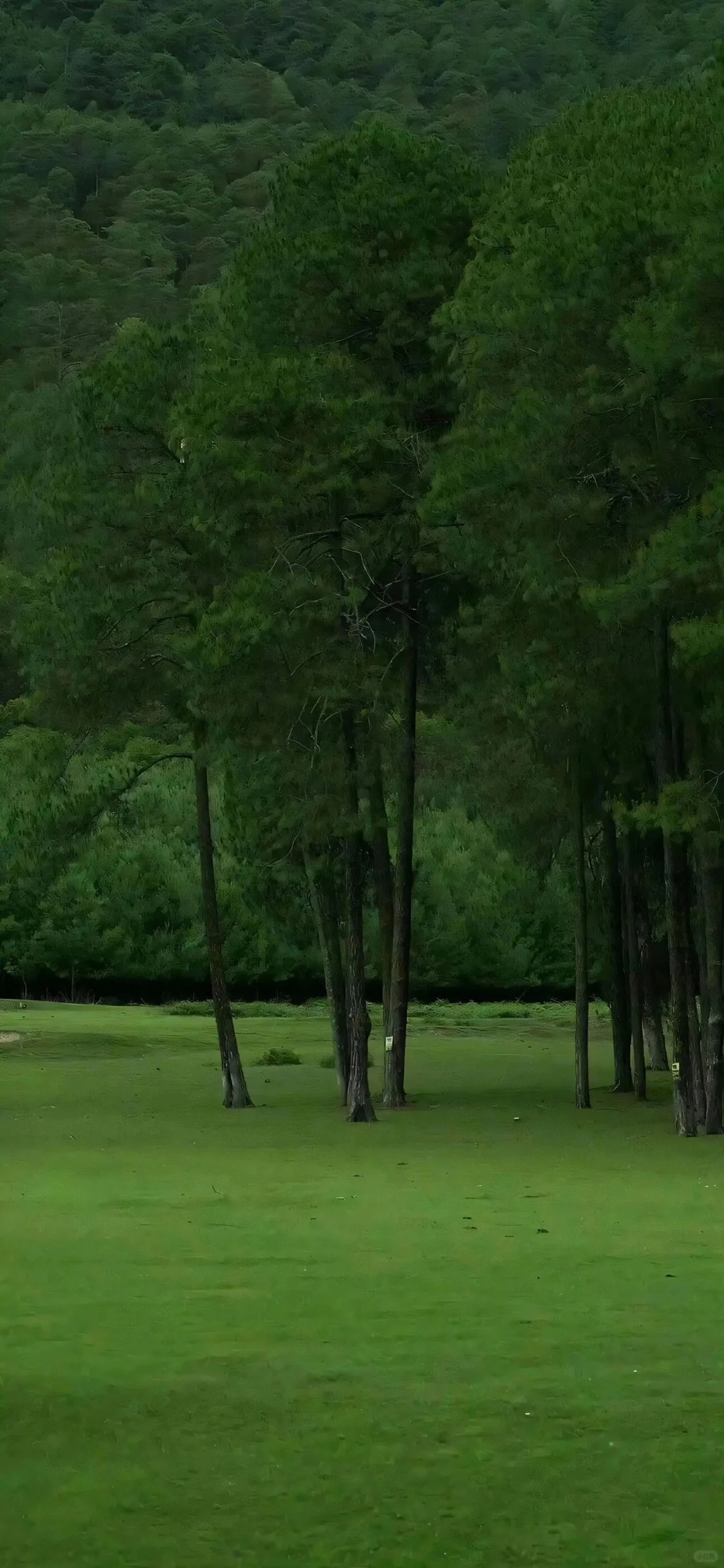 极致简约高清壁纸