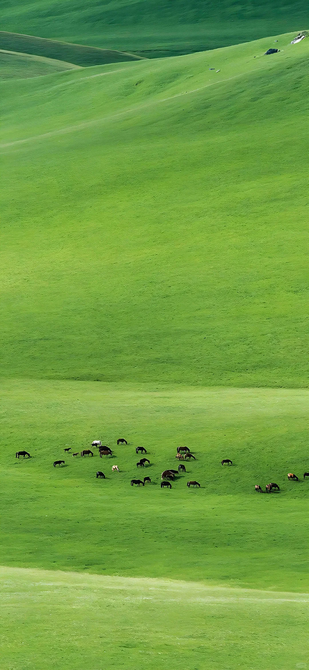 极致简约高清壁纸