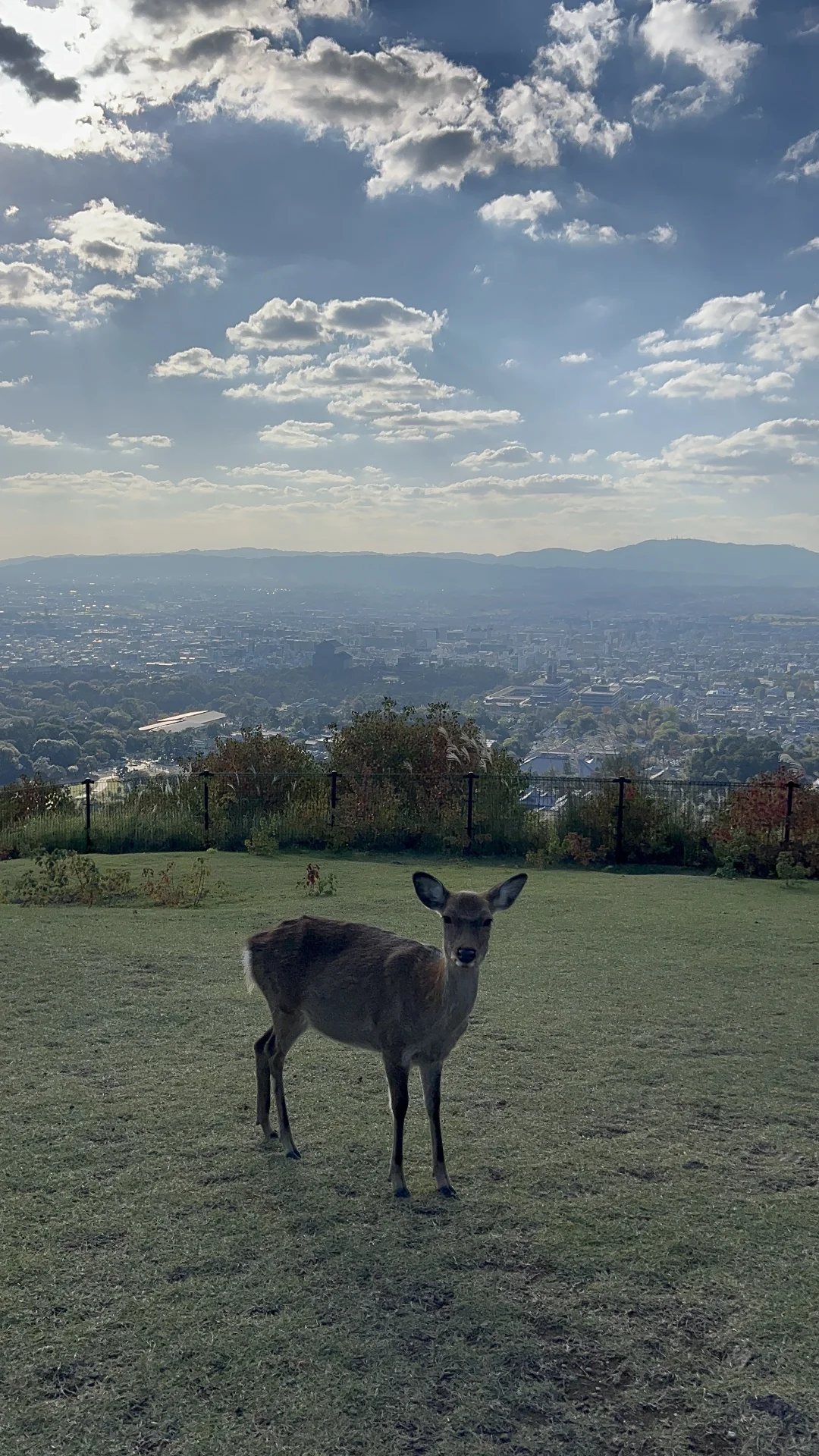 瘦不下来的“普女”，可能得了情绪饥饿症