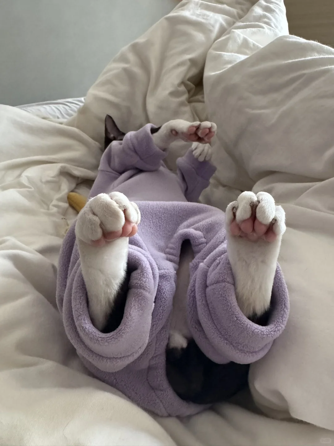 麻烦帮我看看算不算（左滑有图片