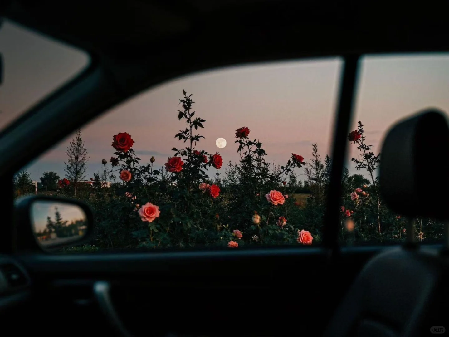 𝙬𝙖𝙡𝙡𝙥𝙖𝙥𝙚𝙧 ｜超清ipad电脑壁纸