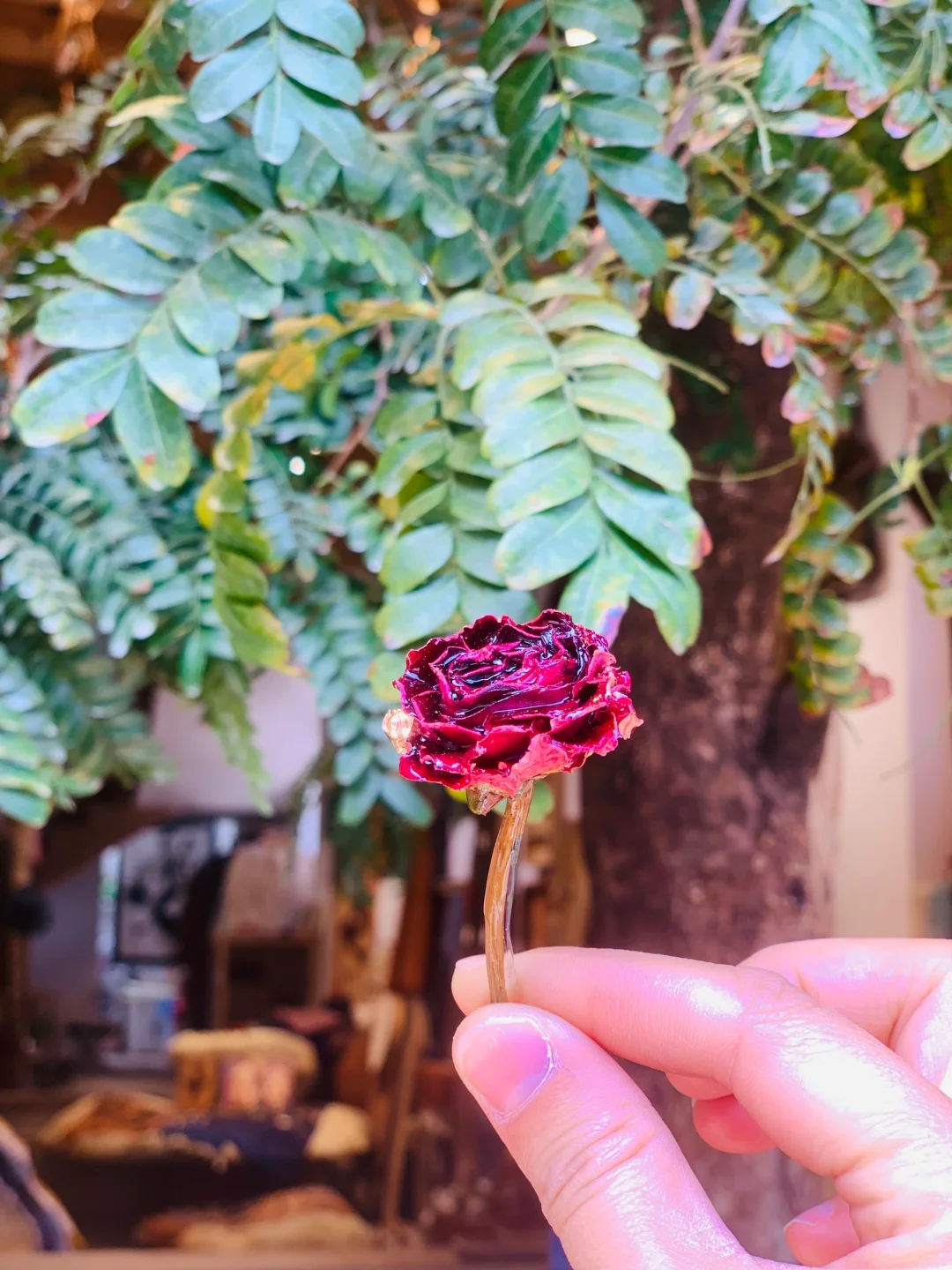 娇艳欲滴的真花胸针❤️❤️❤️