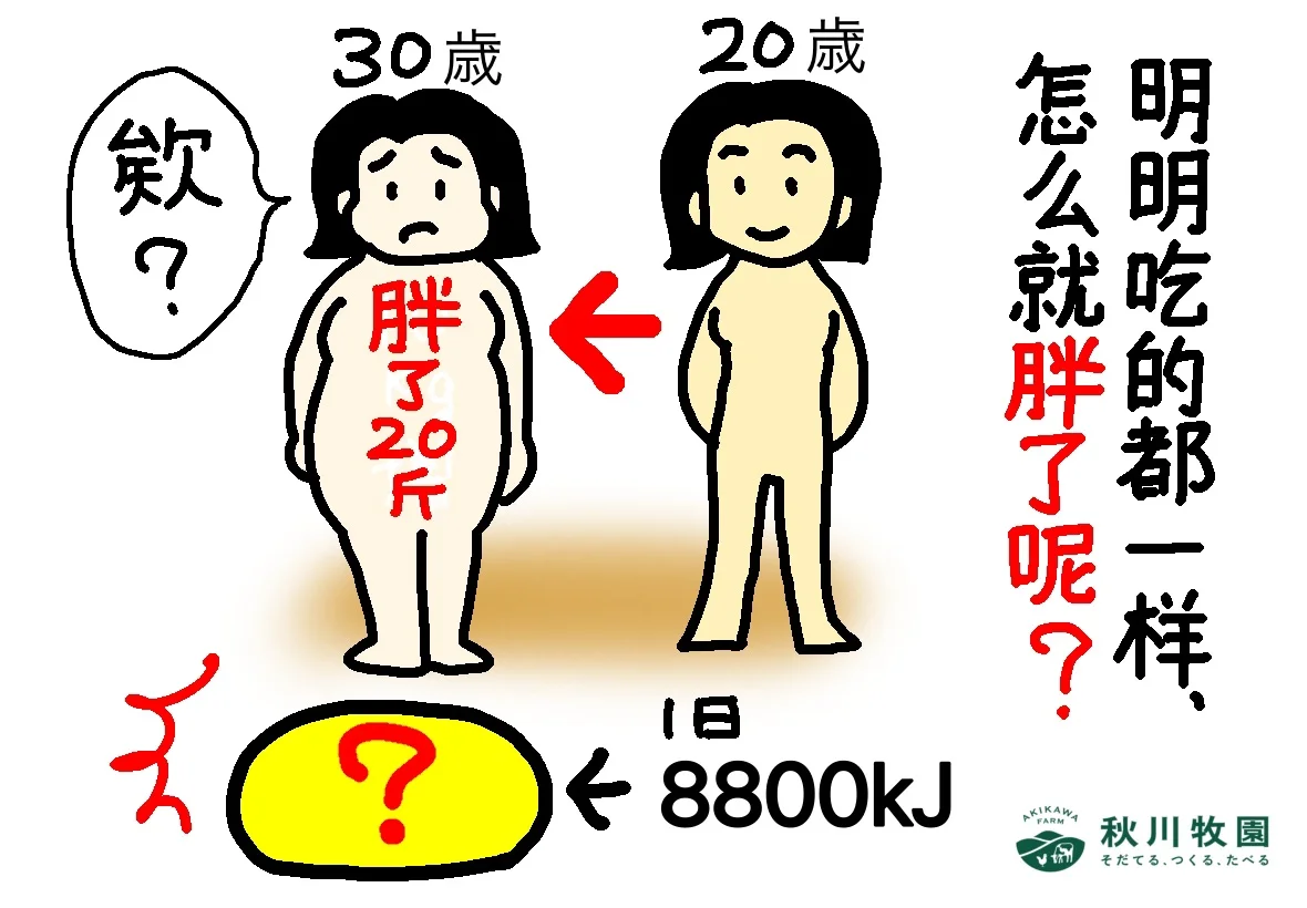 明明吃的一样多，但是莫名其妙胖了