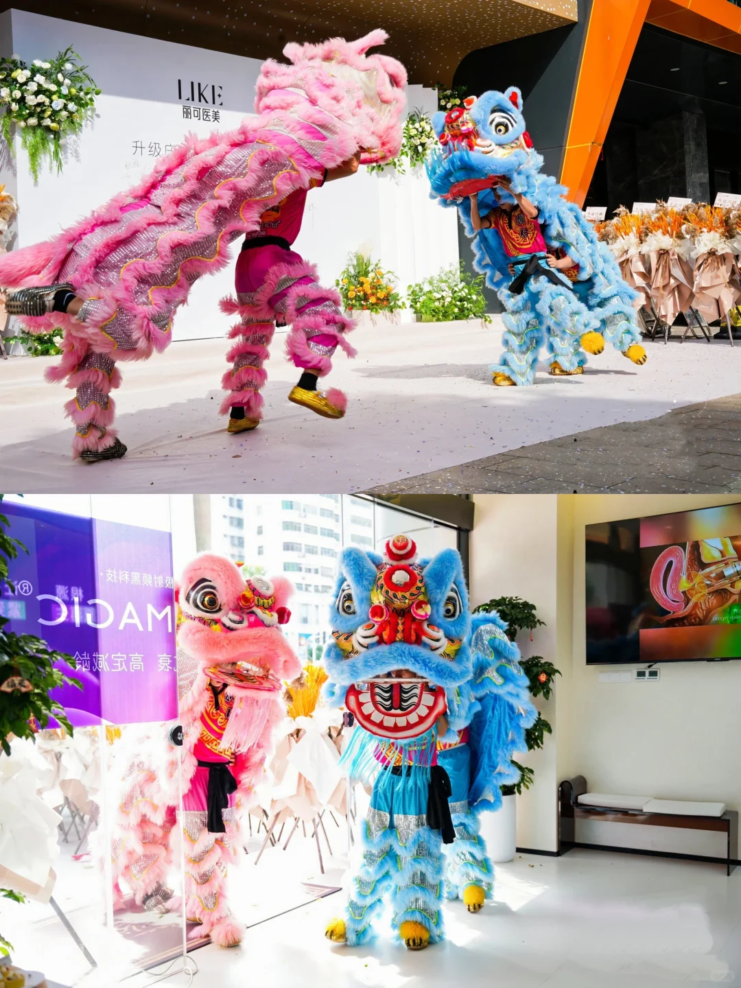 海口丽可开业啦！！39年老牌换新颜🔥🔥