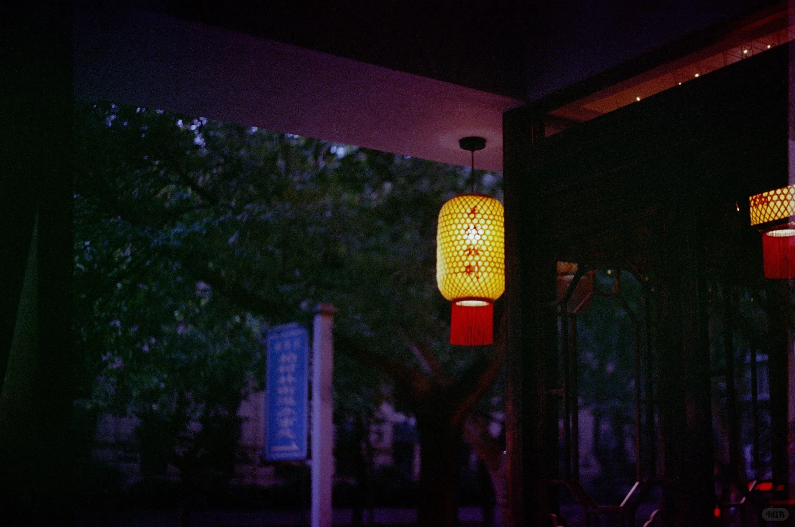 🎞️风里已经有了冬天的味道