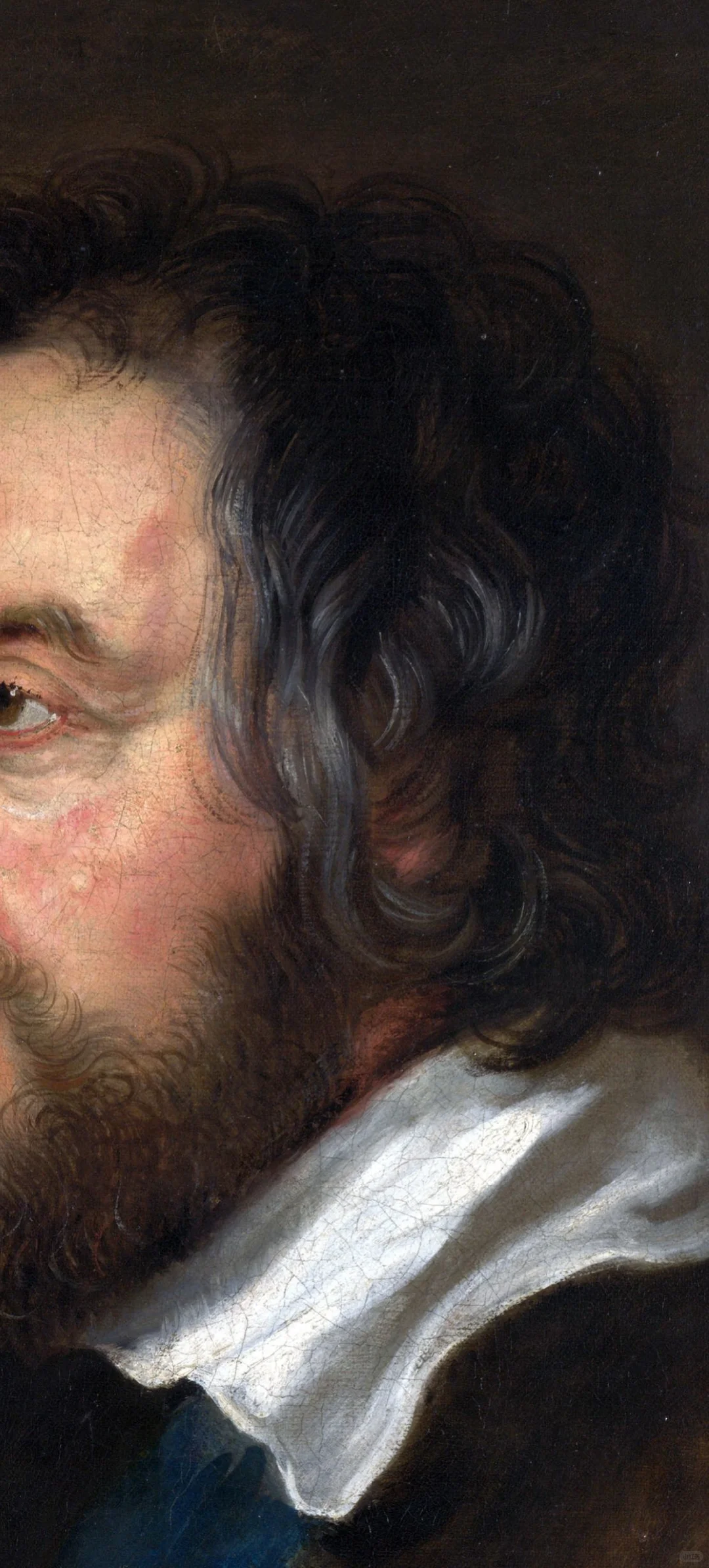 鲁本斯的作品欣赏