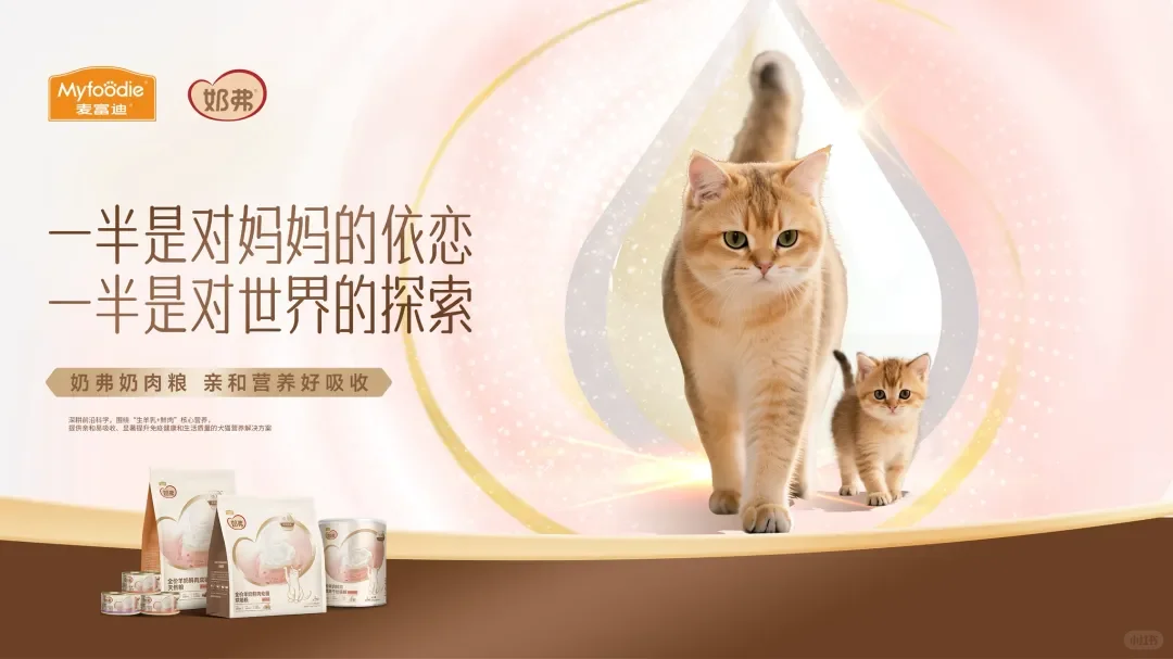 麦富迪，荣获CIC灼识市场地位确认证书🏆