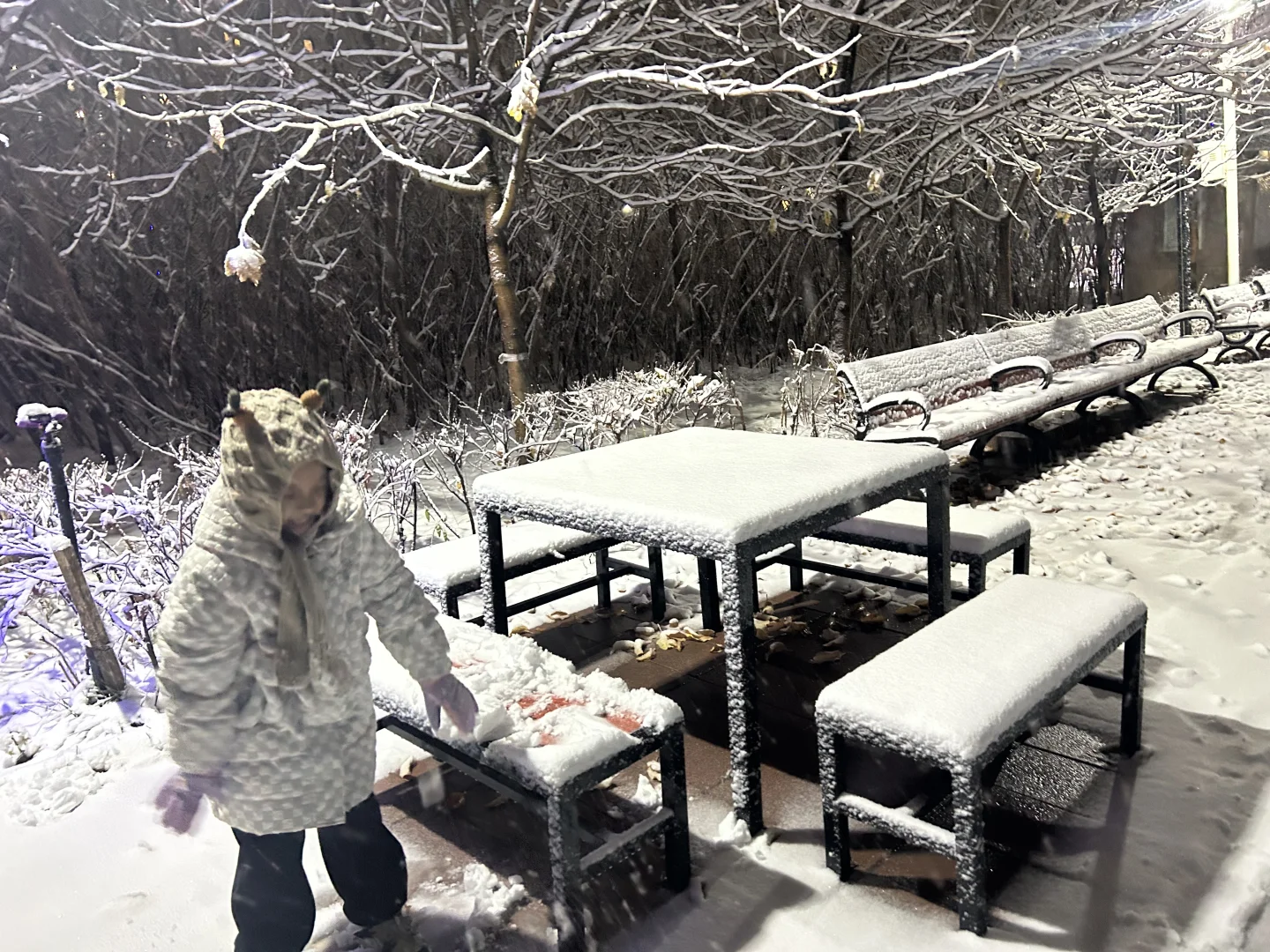 夜雪，真的好美啊！❄️