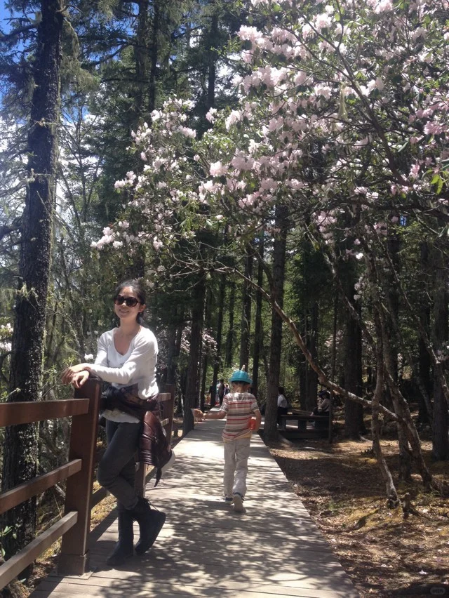 哈哈，在外面没谈恋爱都累死了。走完迪庆。