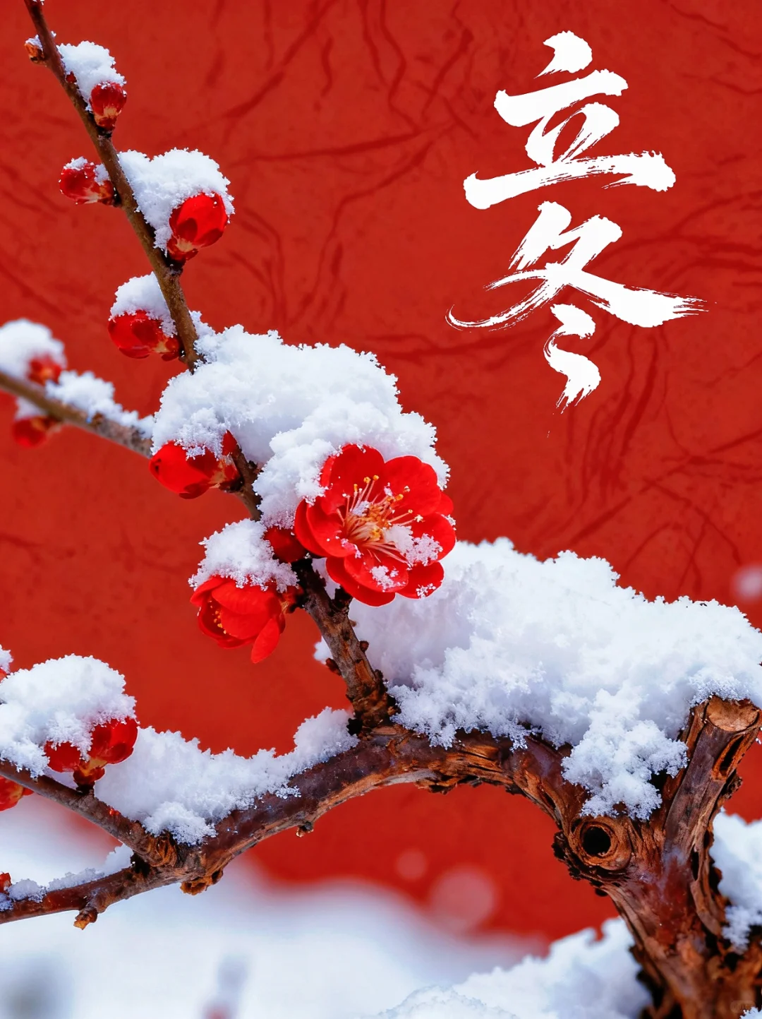 立冬，与自己和解，与世界温柔相处