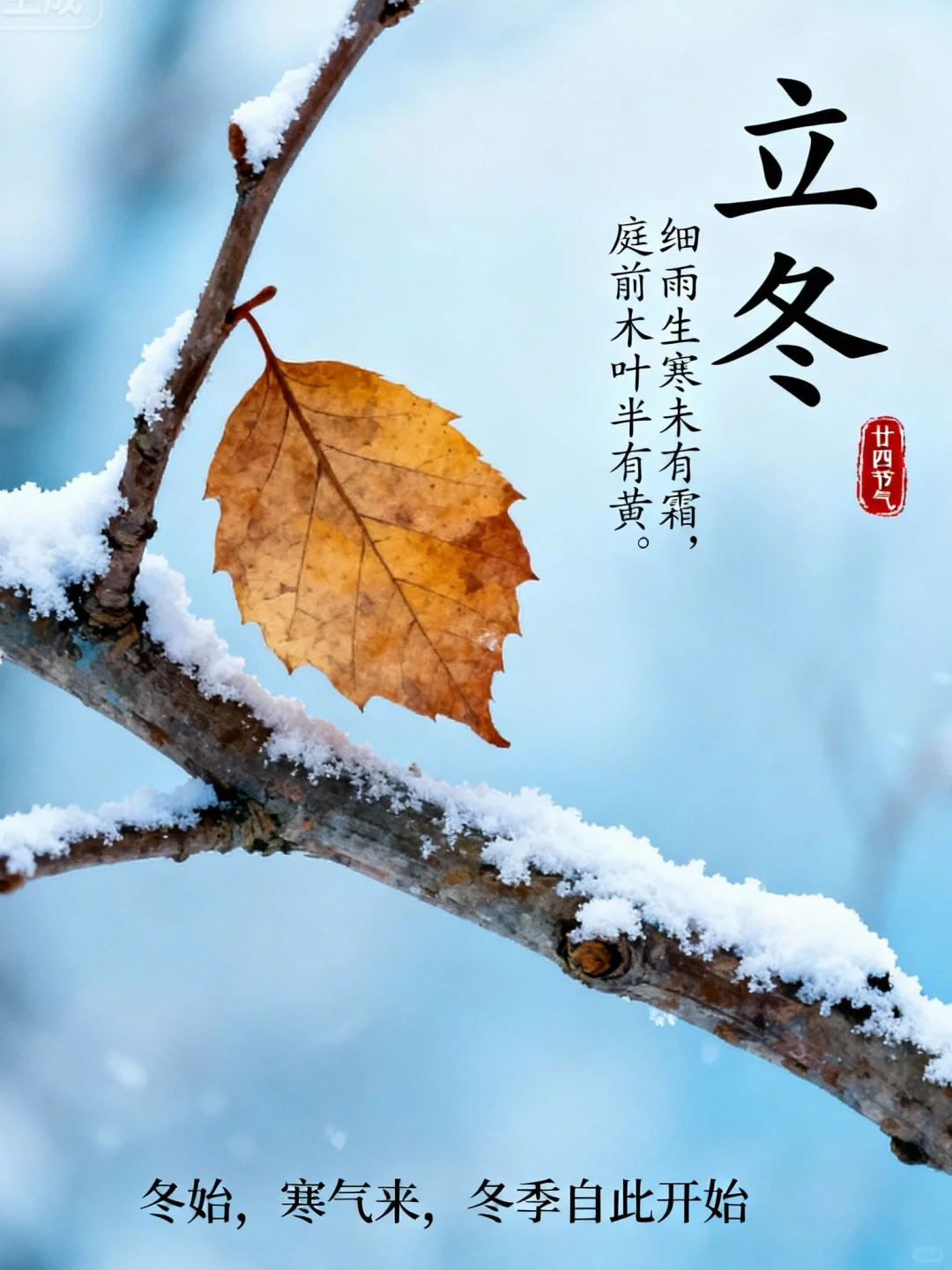 适合11月7日发的立冬文案🍂