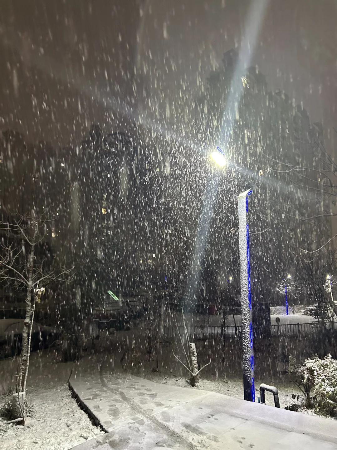 夜雪，真的好美啊！❄️